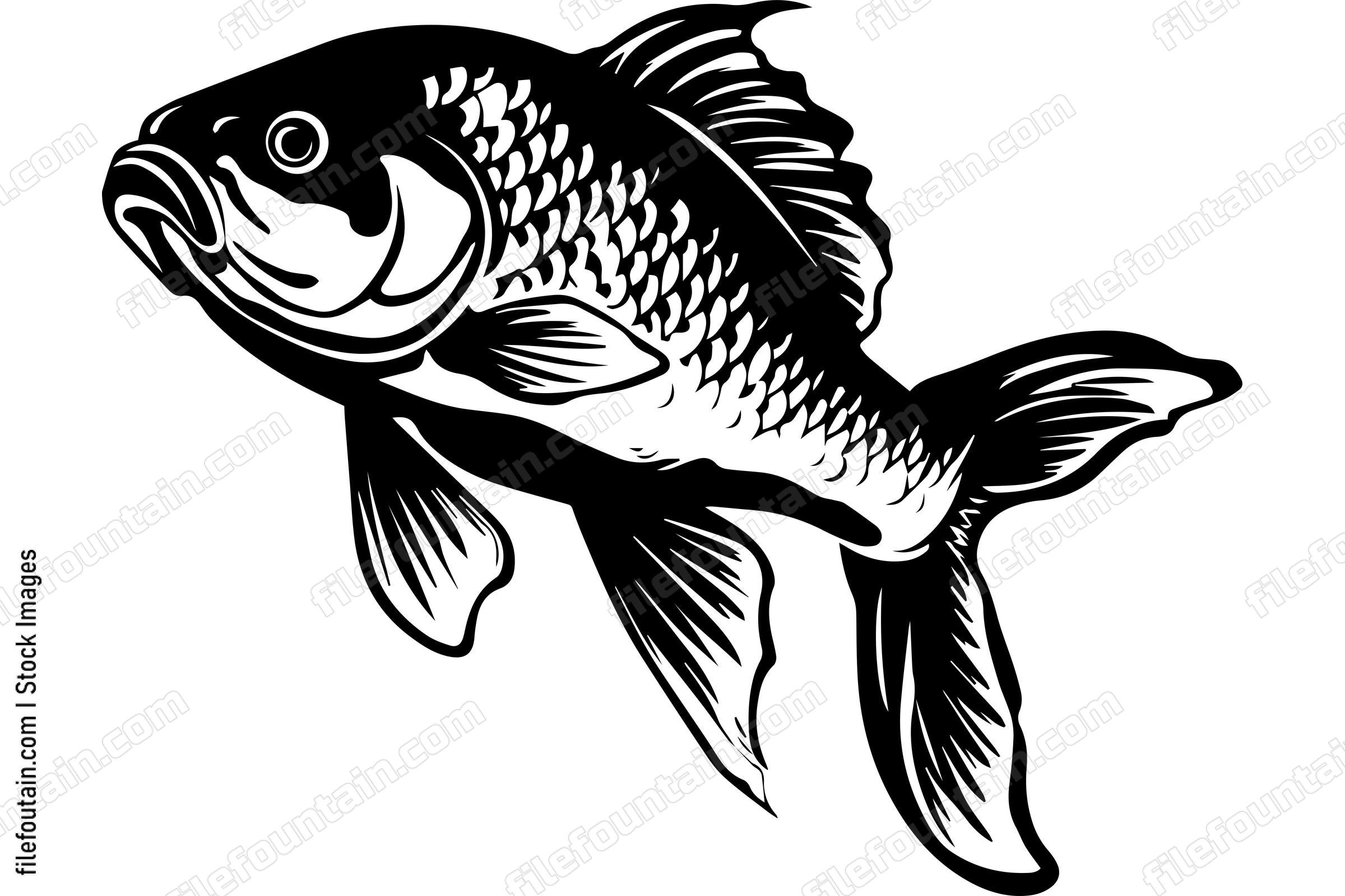 Carp