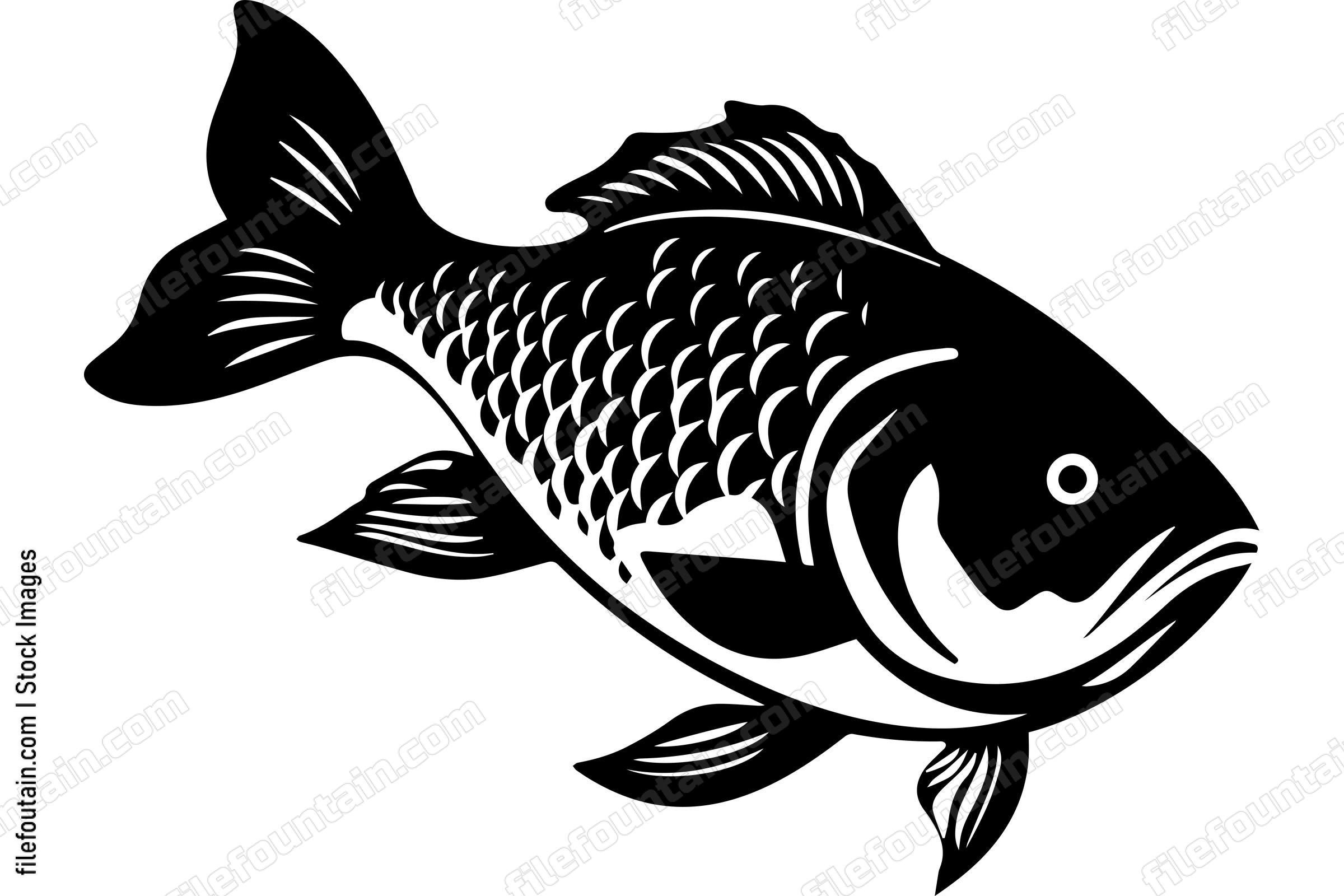 Carp