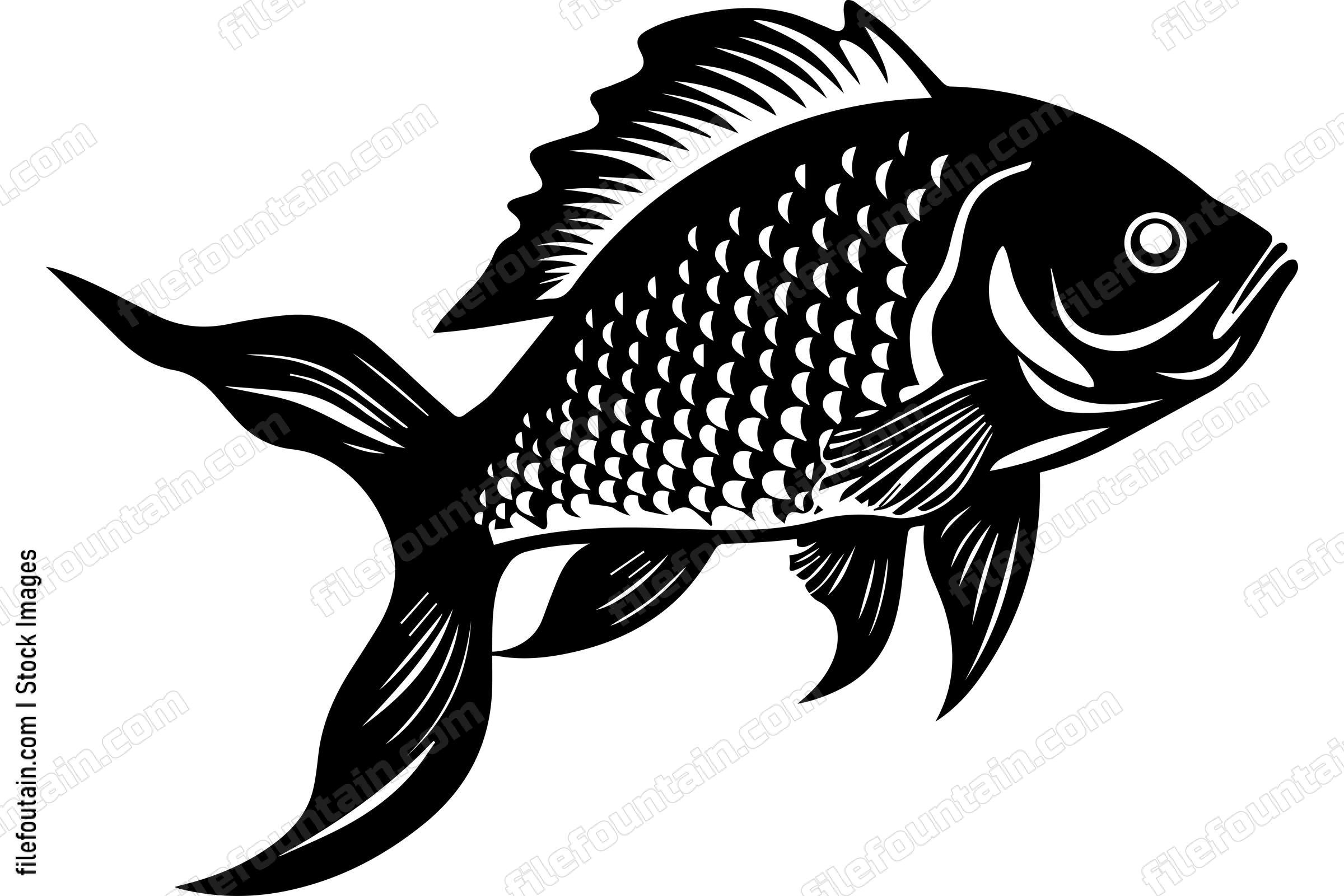 Carp