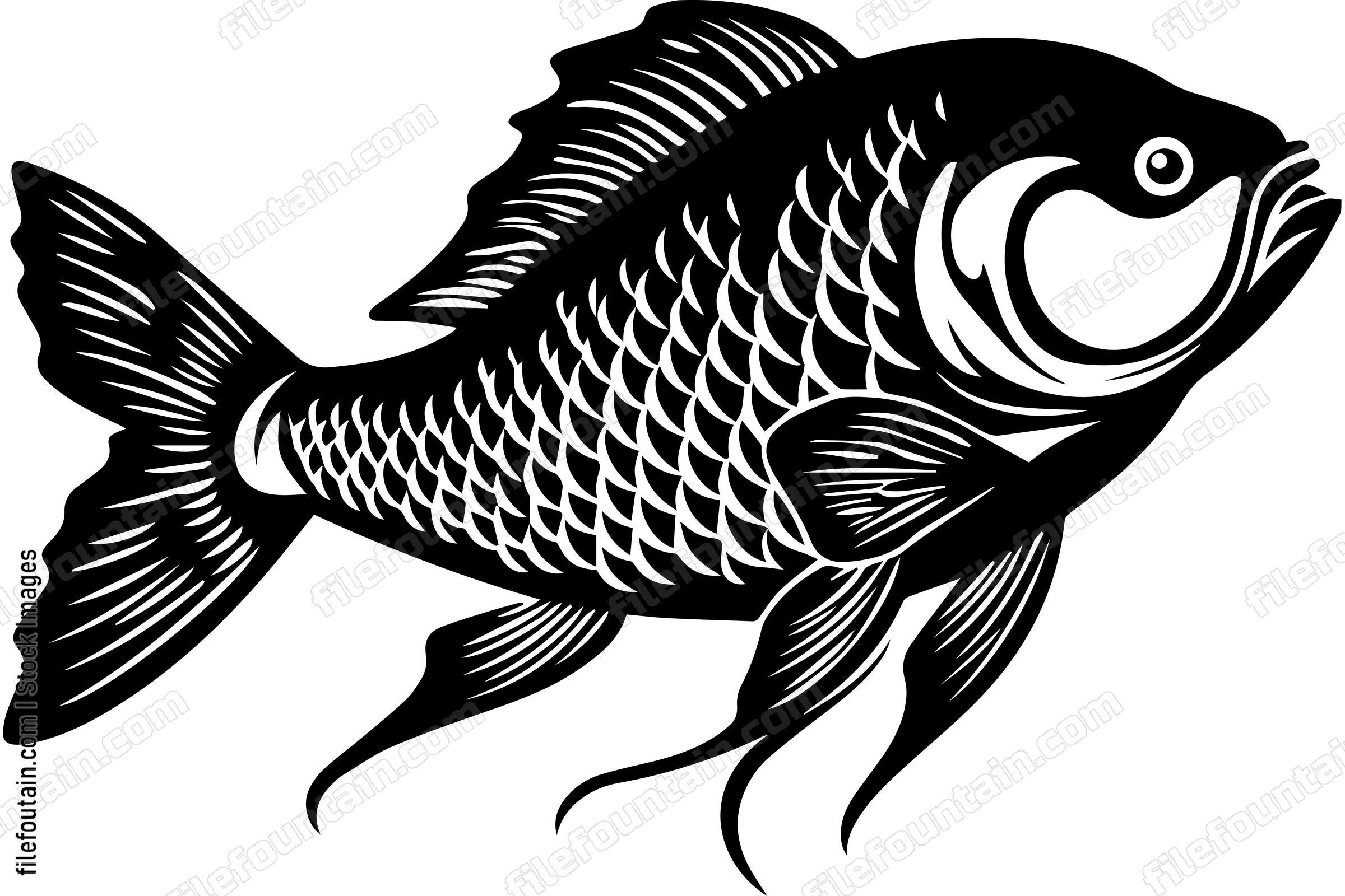 Carp