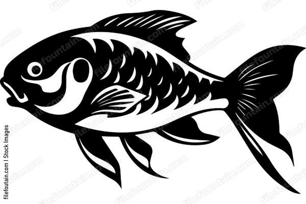 Carp