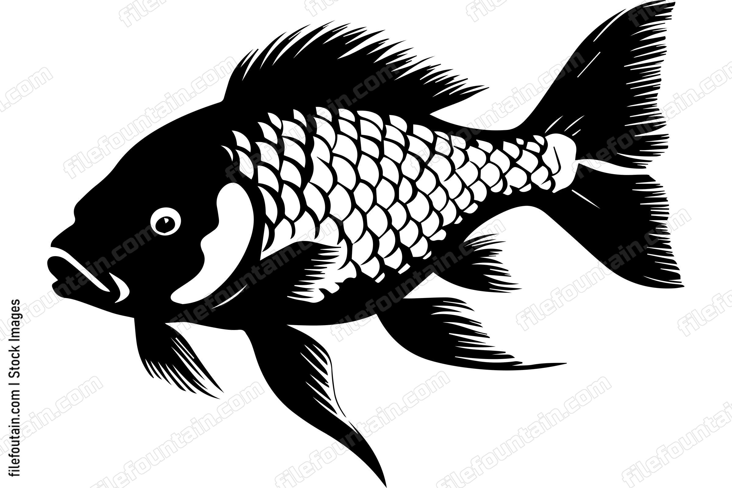 Carp