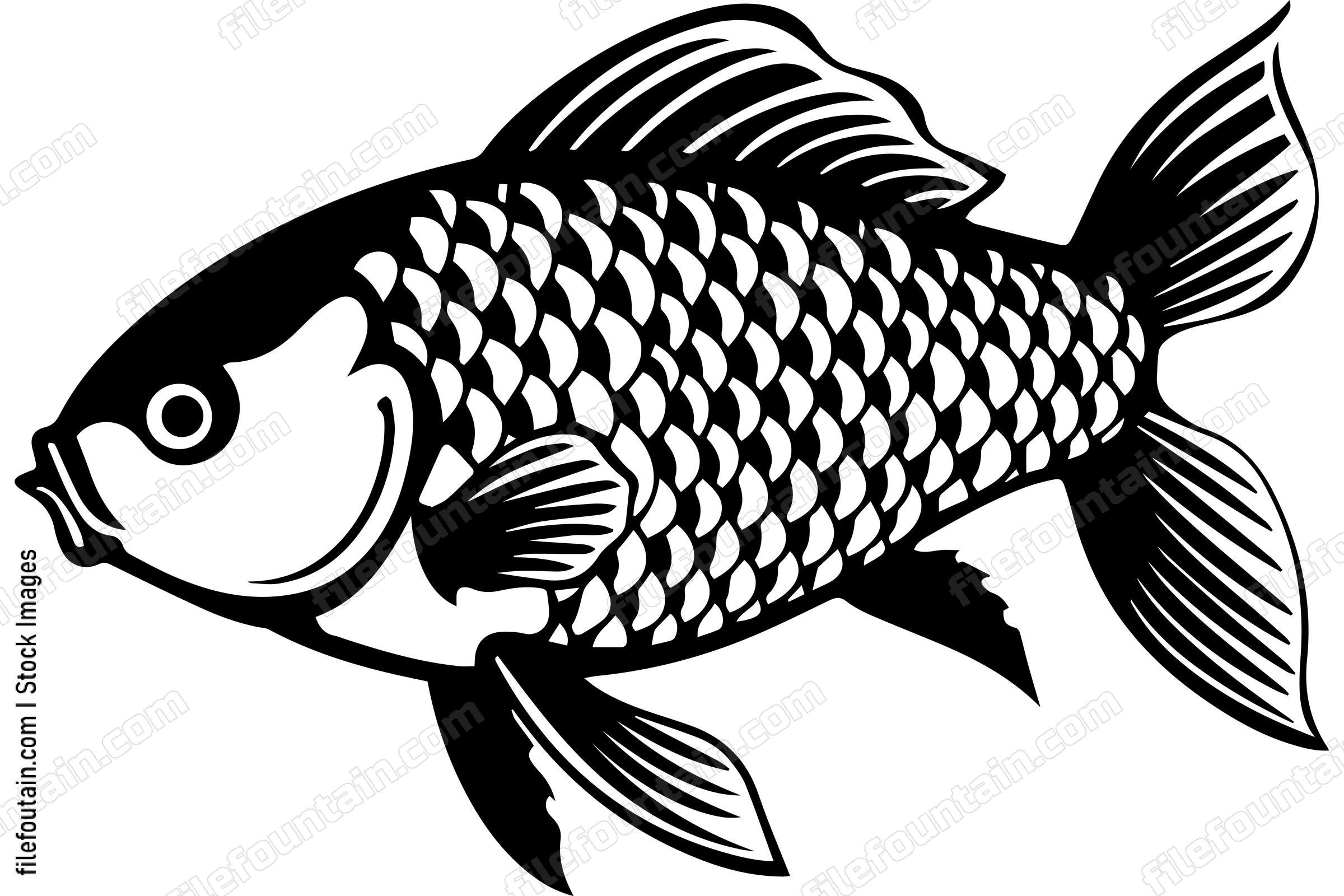 Carp