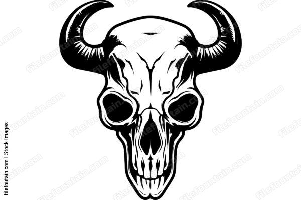 Cattle Skull