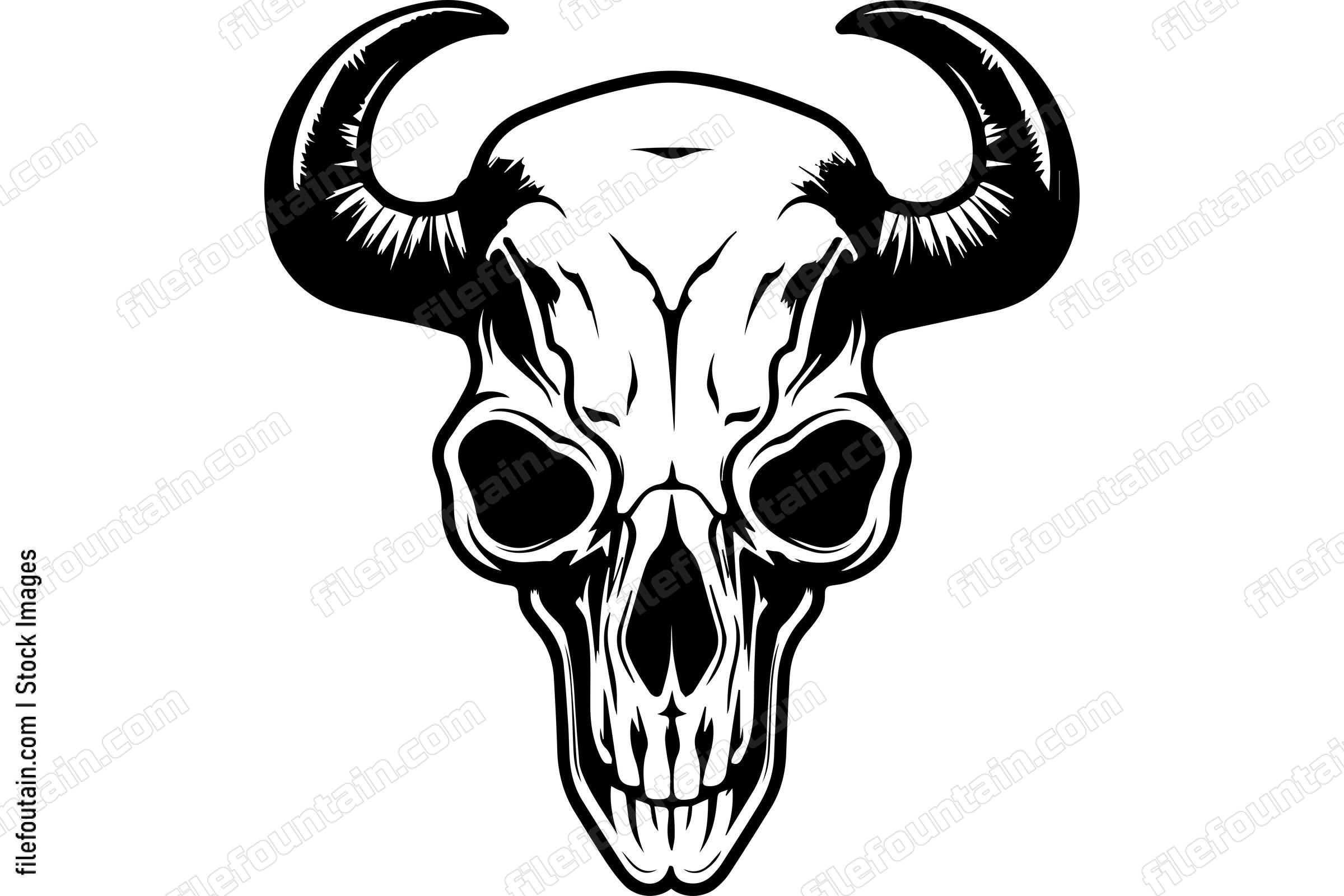 Cattle Skull