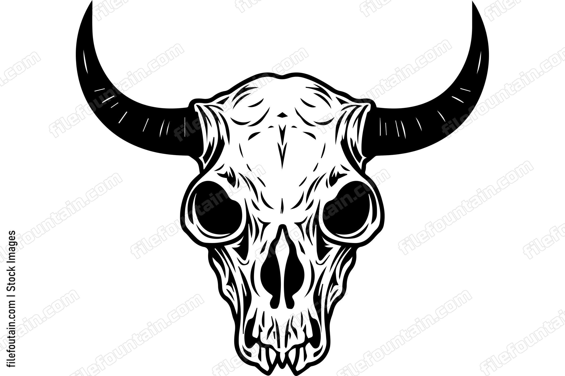 Cattle Skull