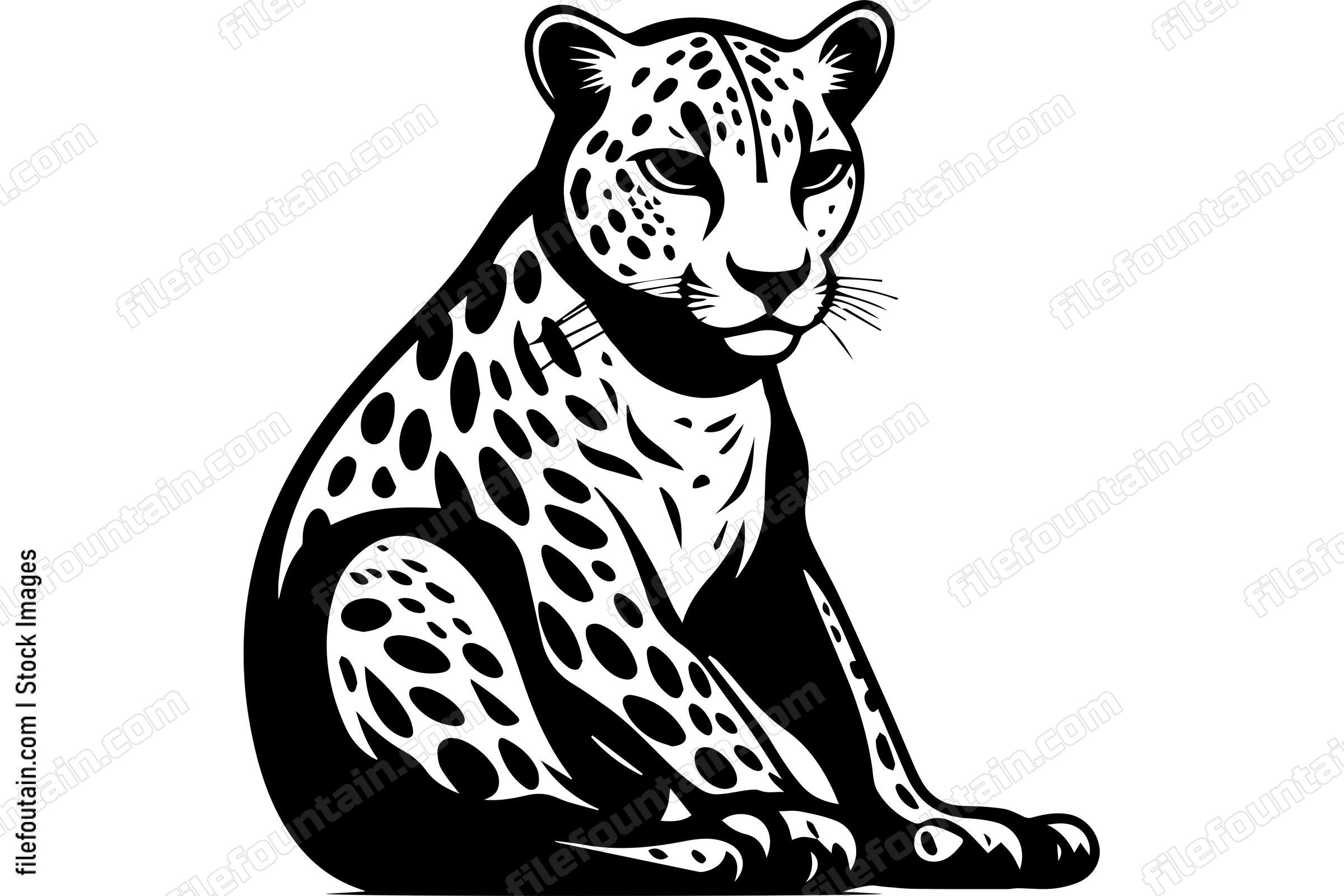 Cheetah