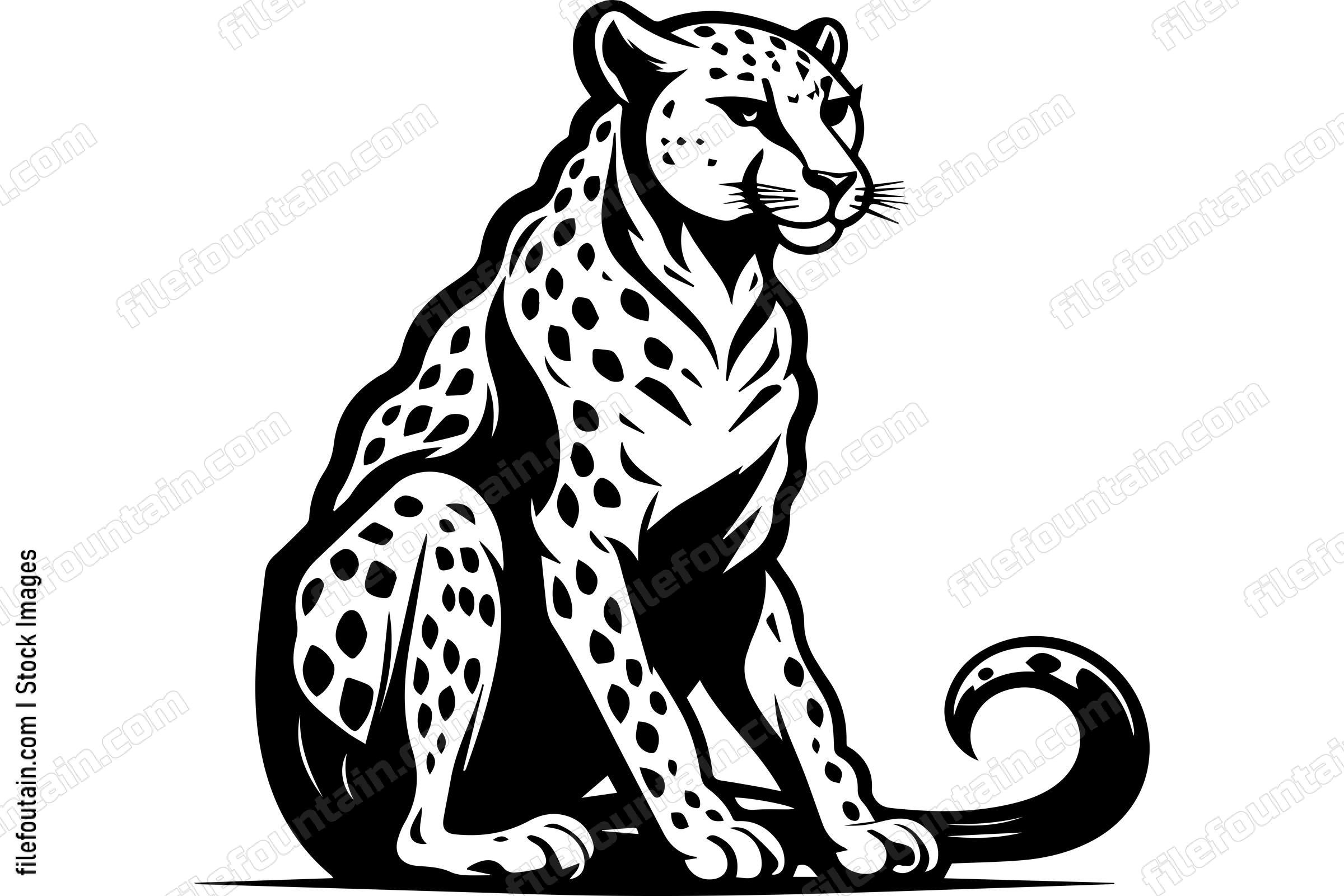 Cheetah