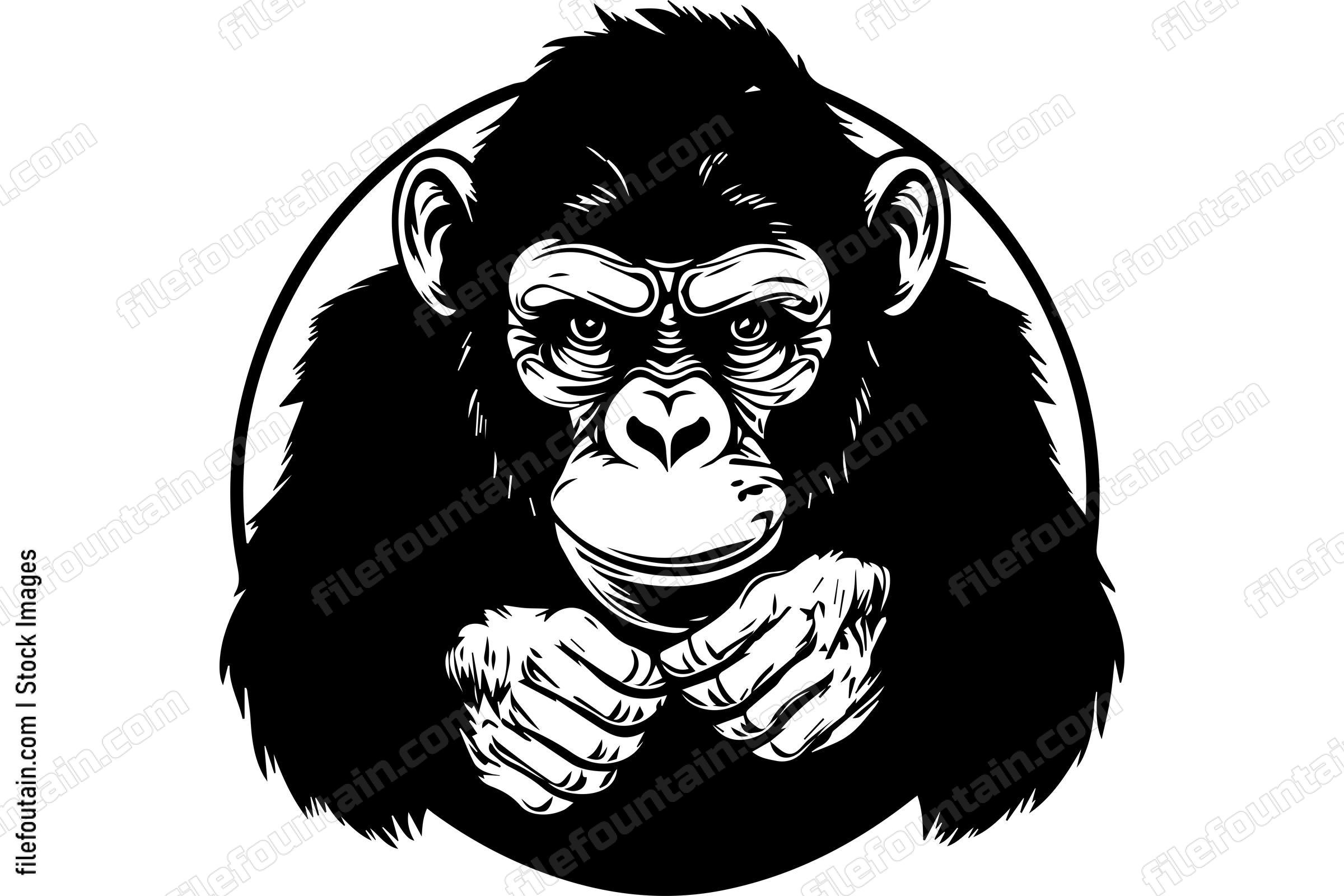 Chimpanzee