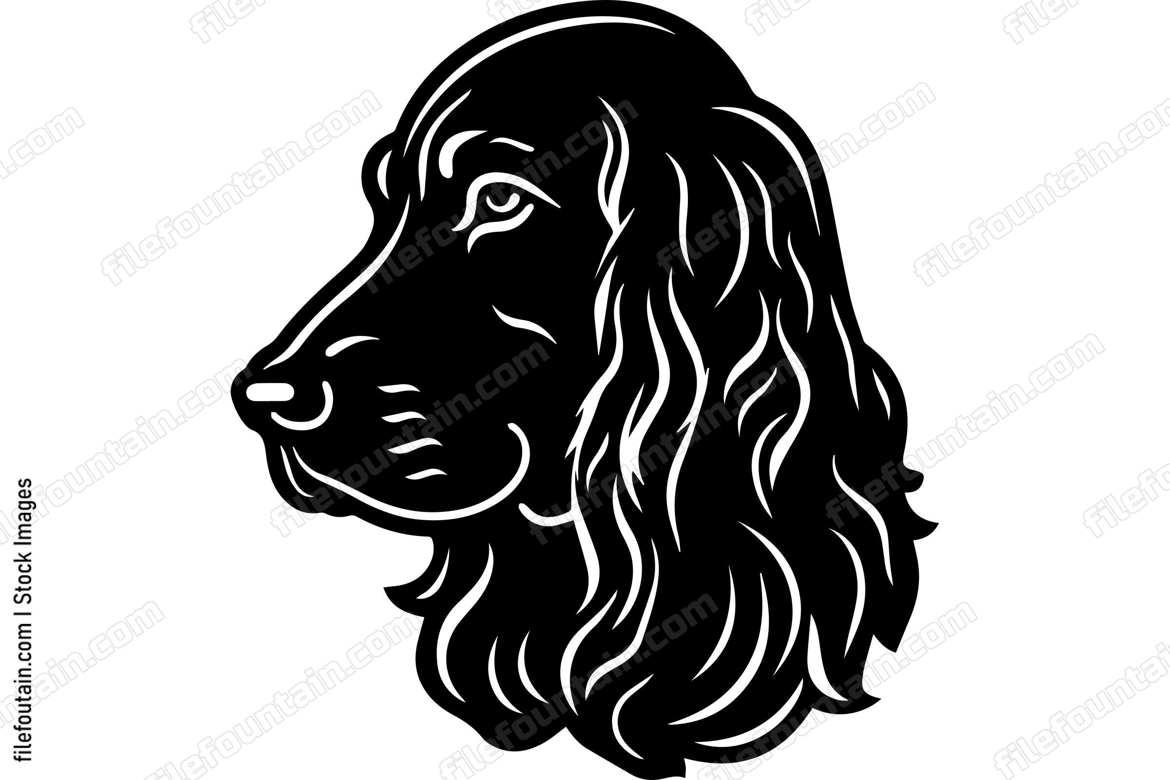 Cocker Spaniel