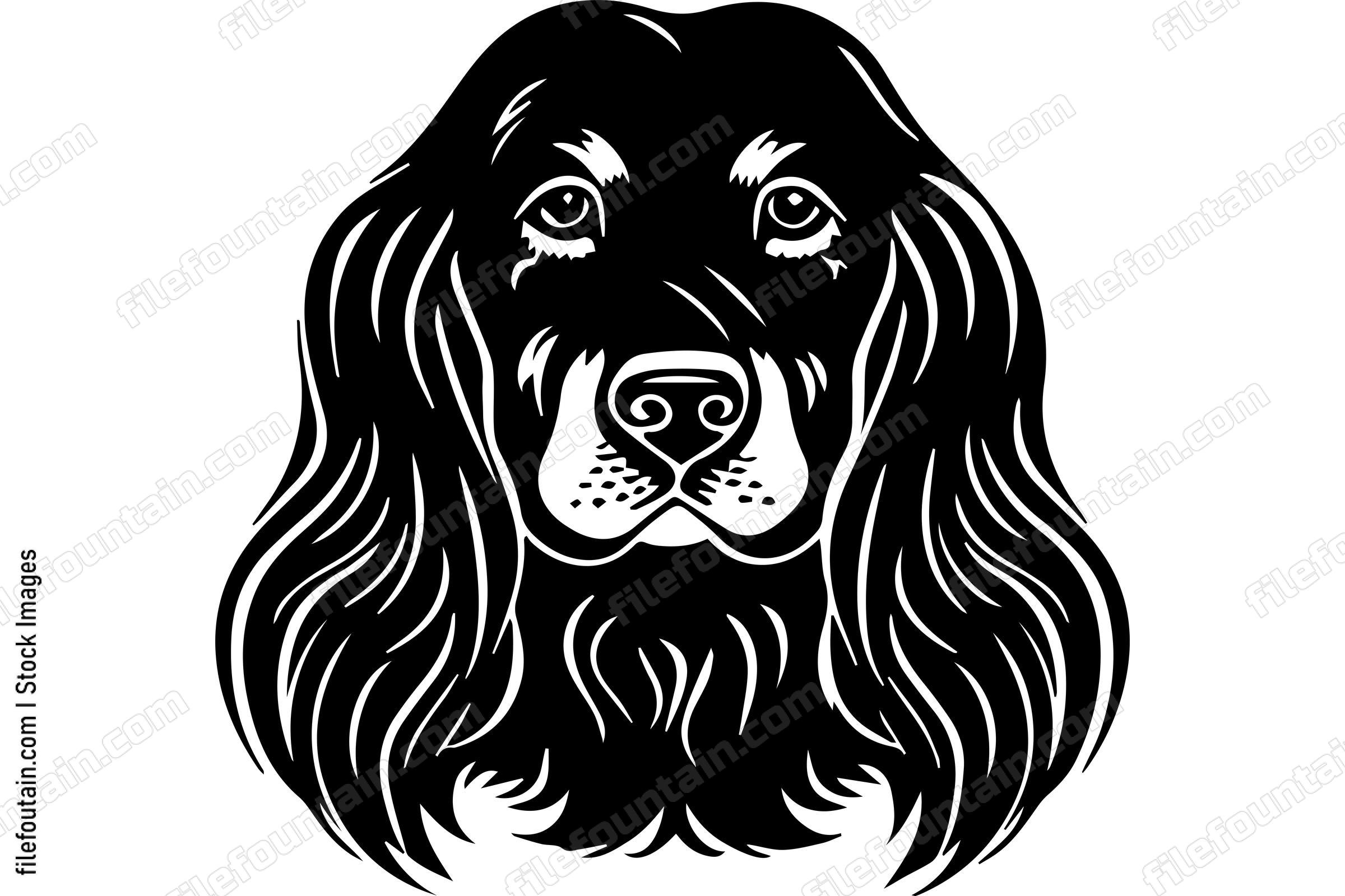Cocker Spaniel