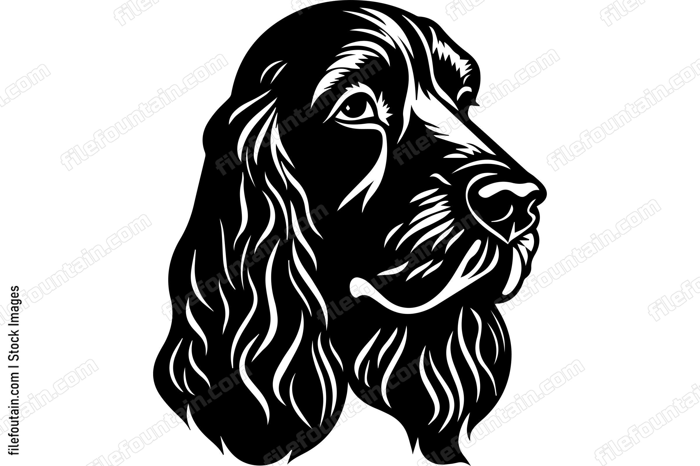 Cocker Spaniel