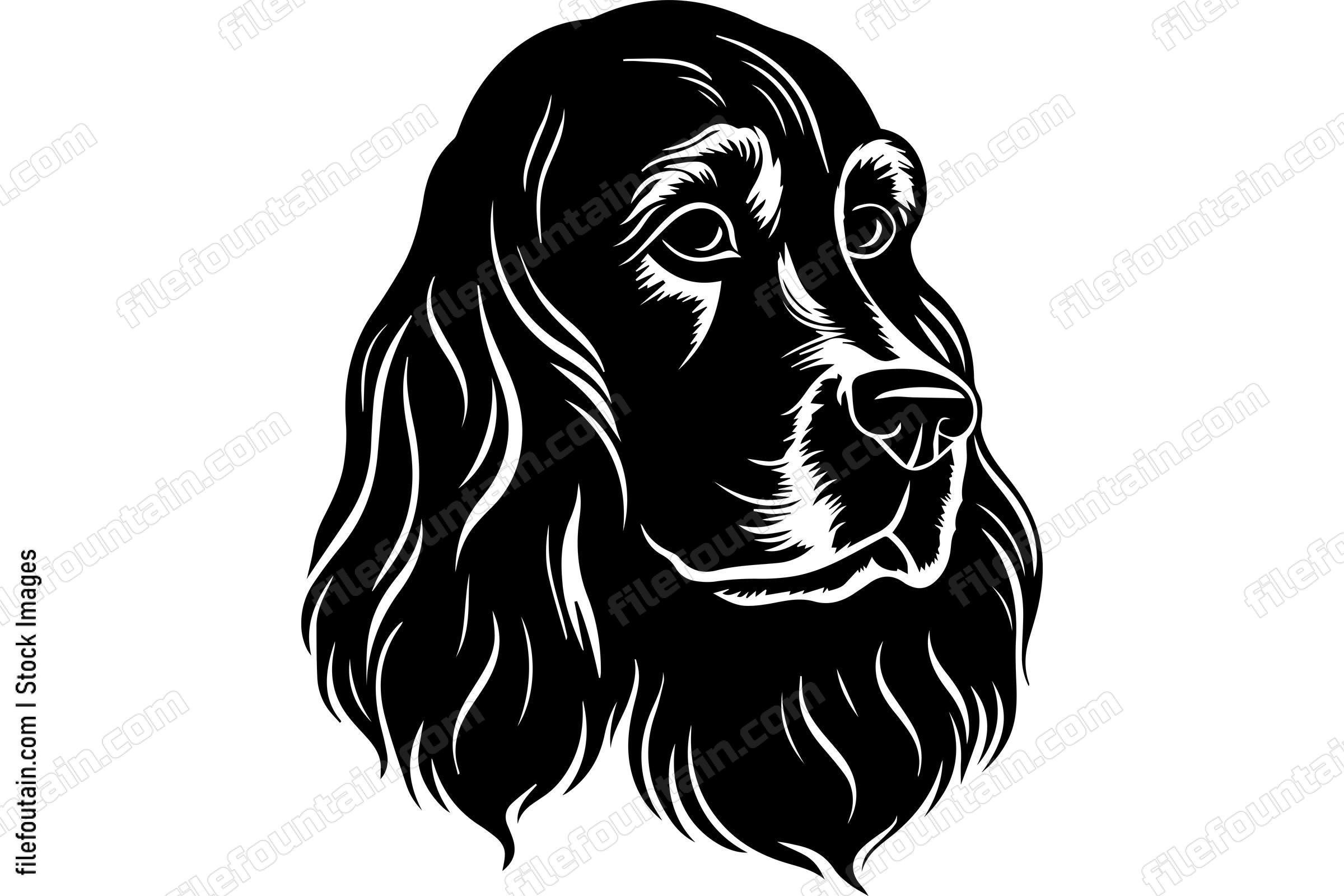 Cocker Spaniel