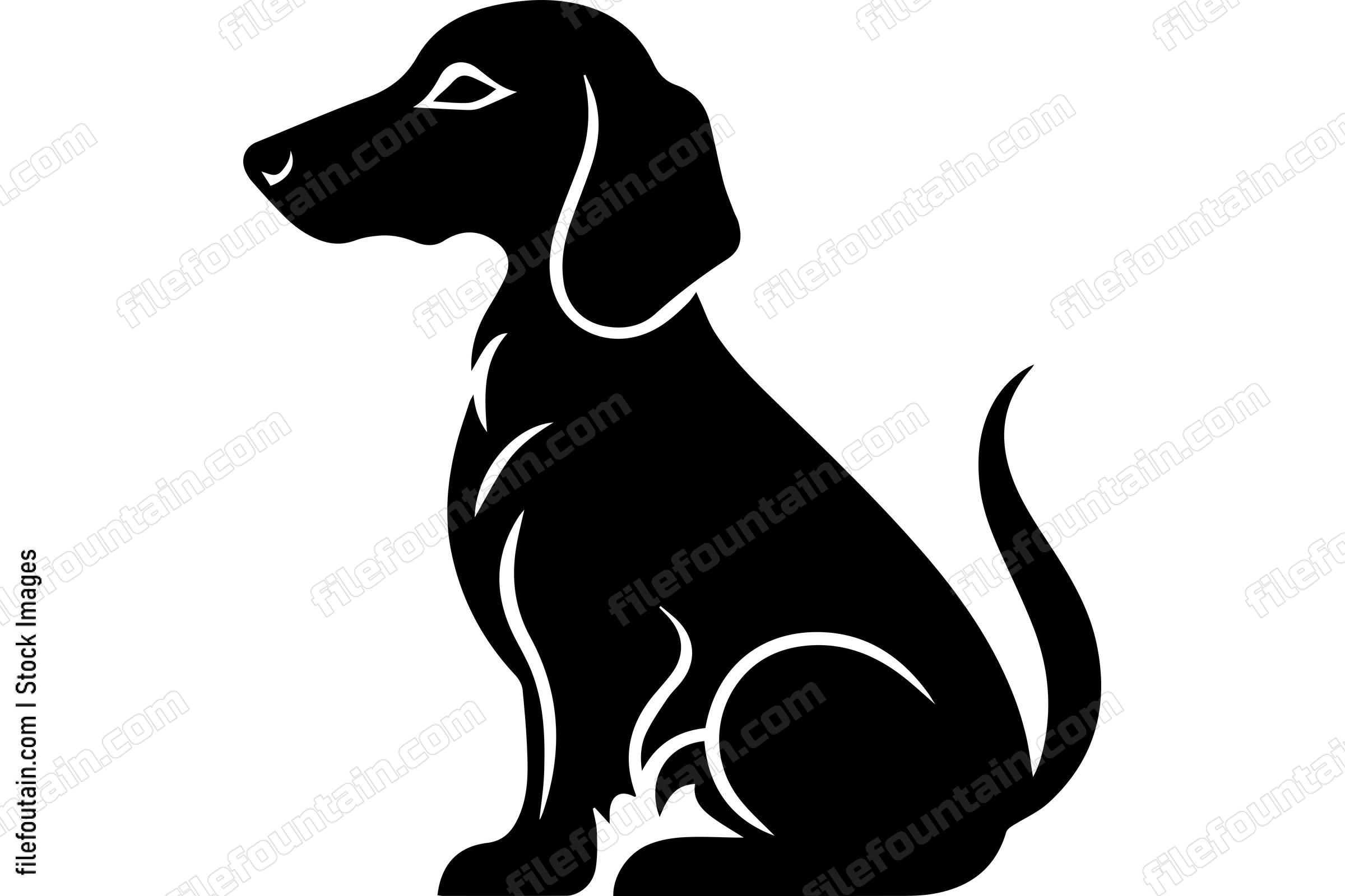Dachshund