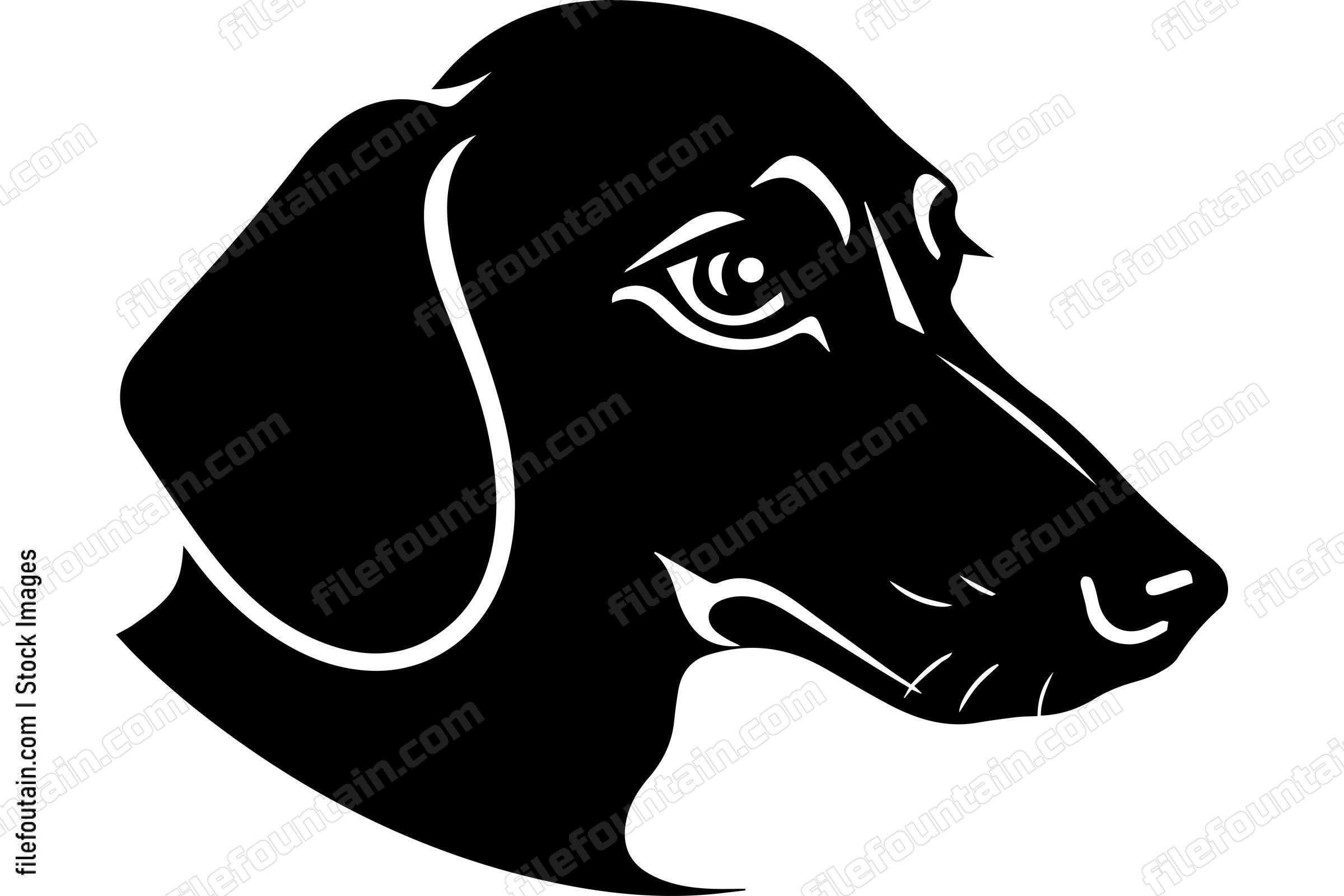 Dachshund