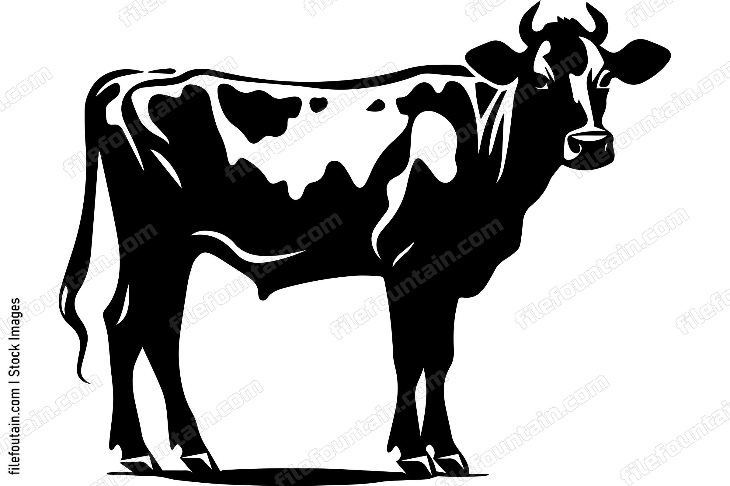 Dairy Cow