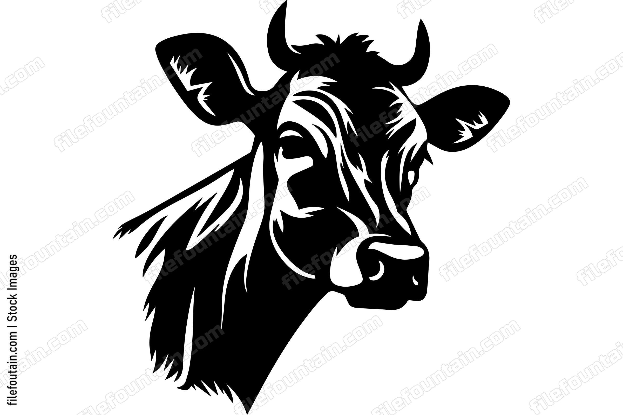 Dairy Cow