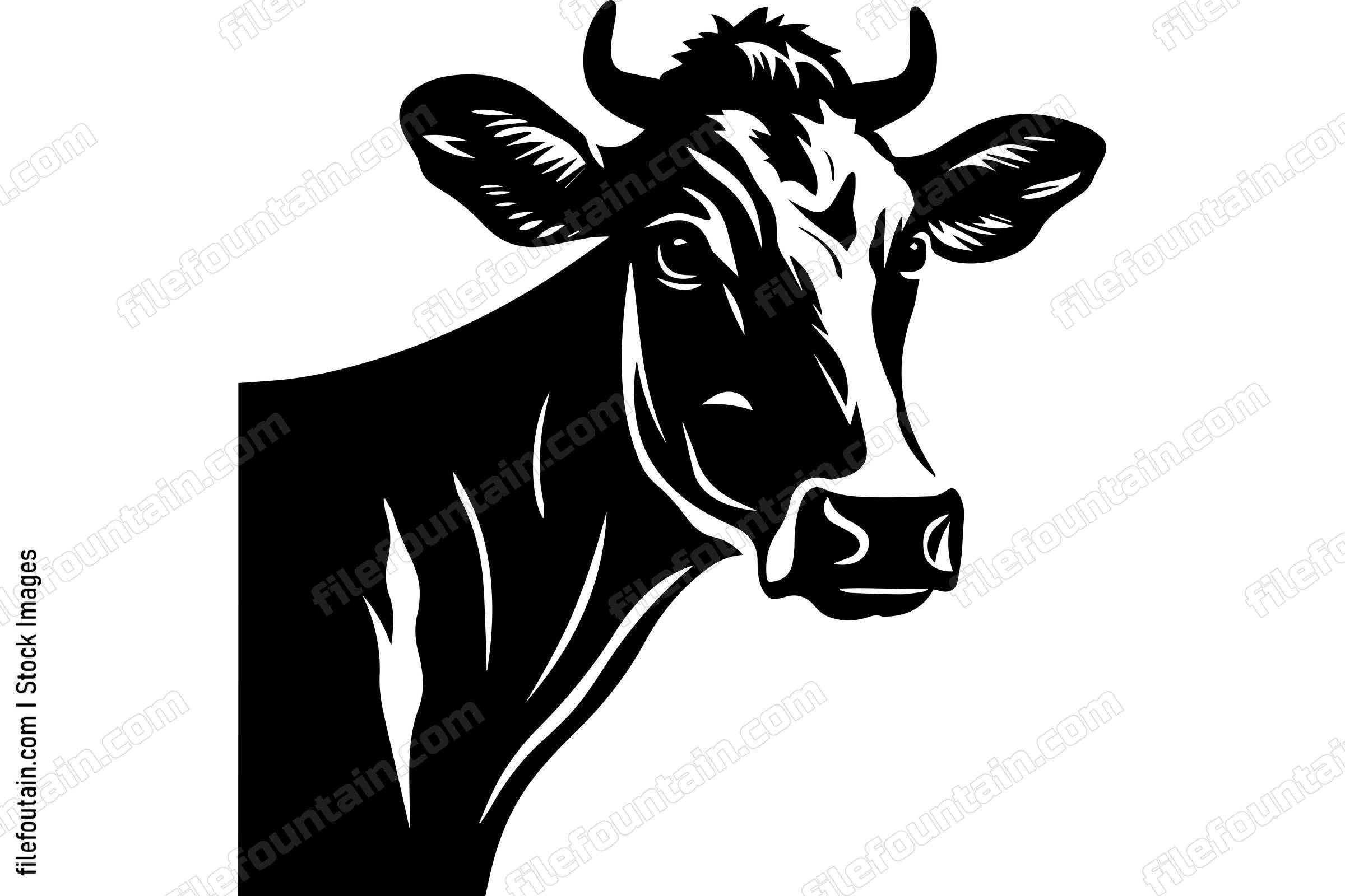 Dairy Cow