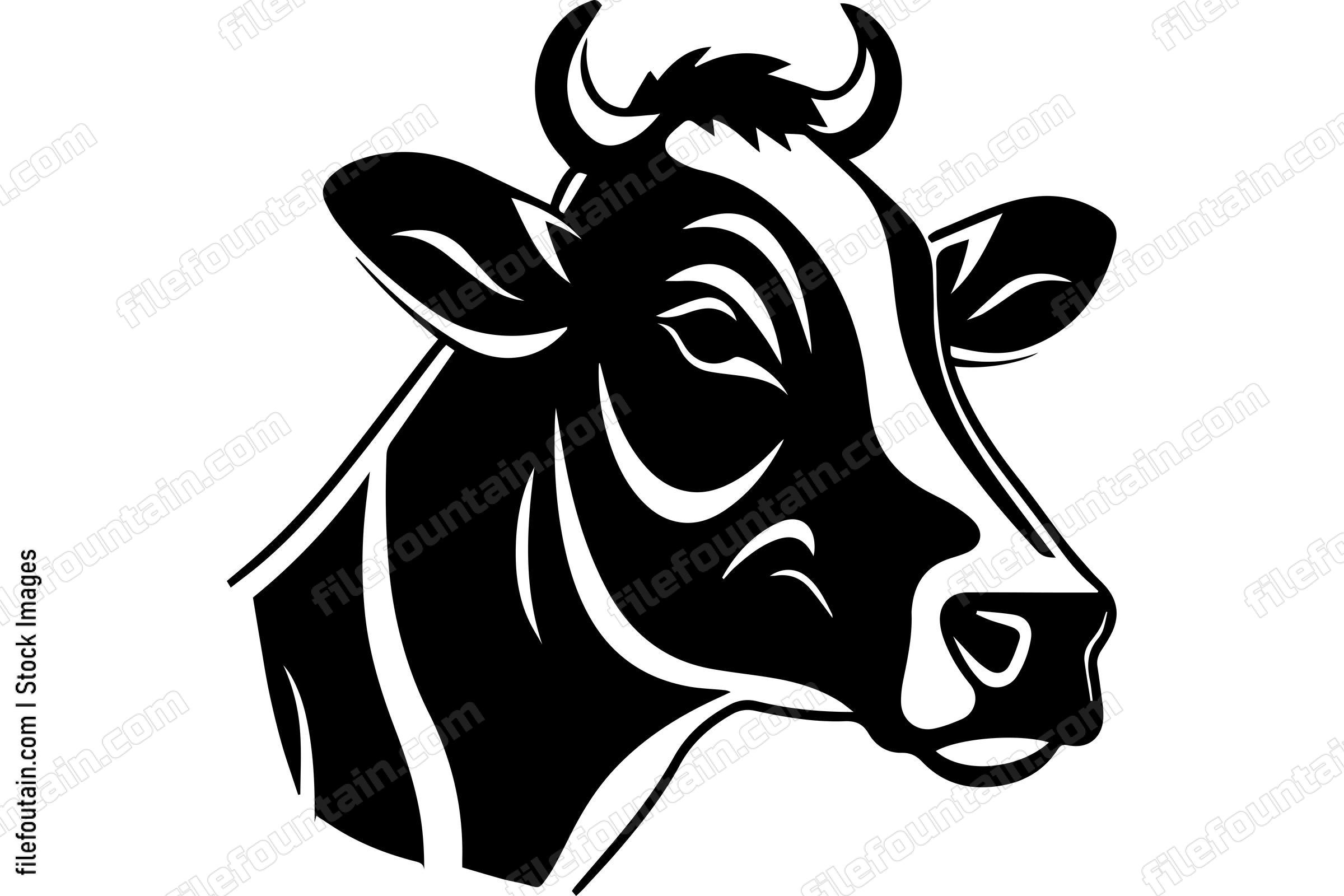 Dairy Cow