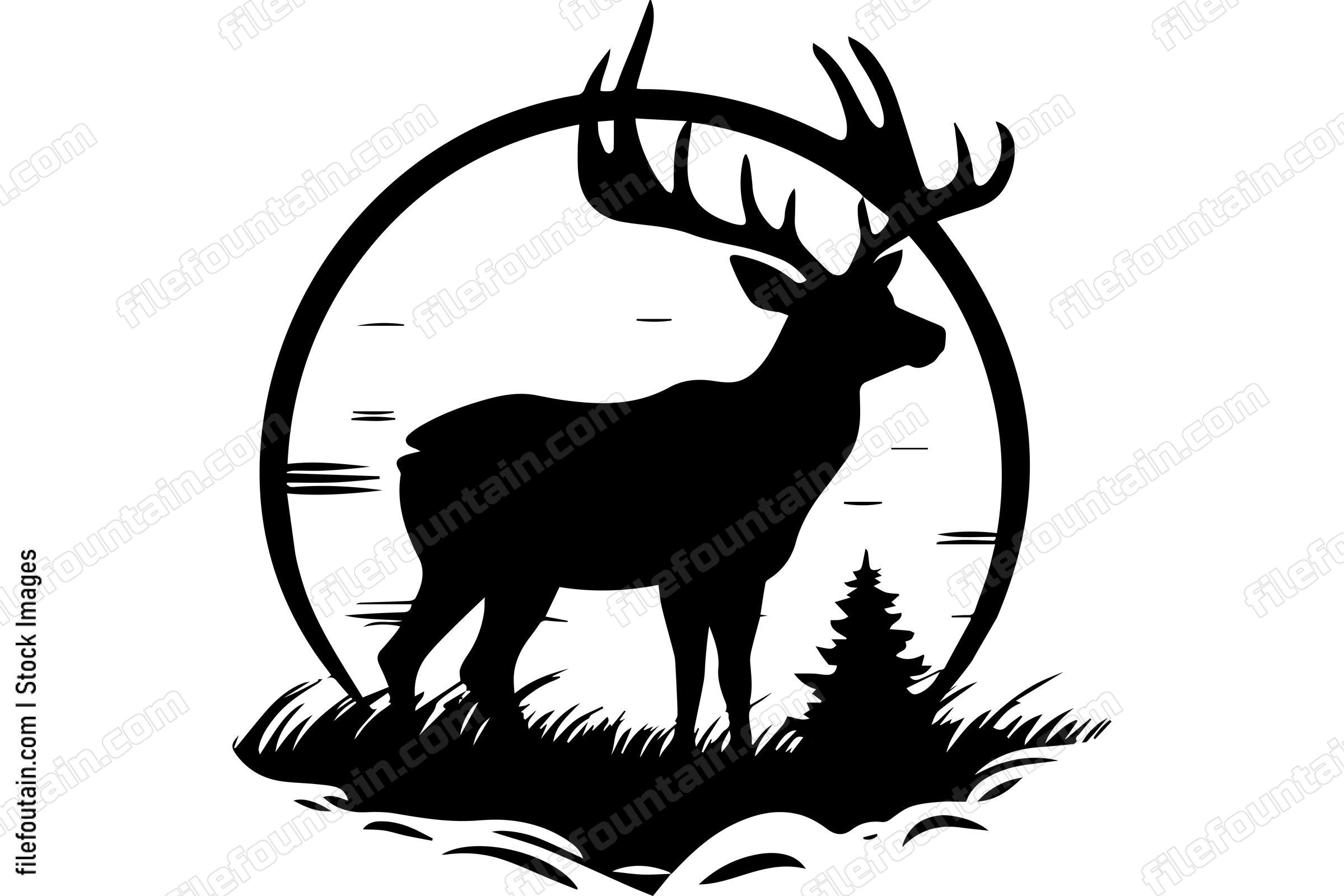 Deer