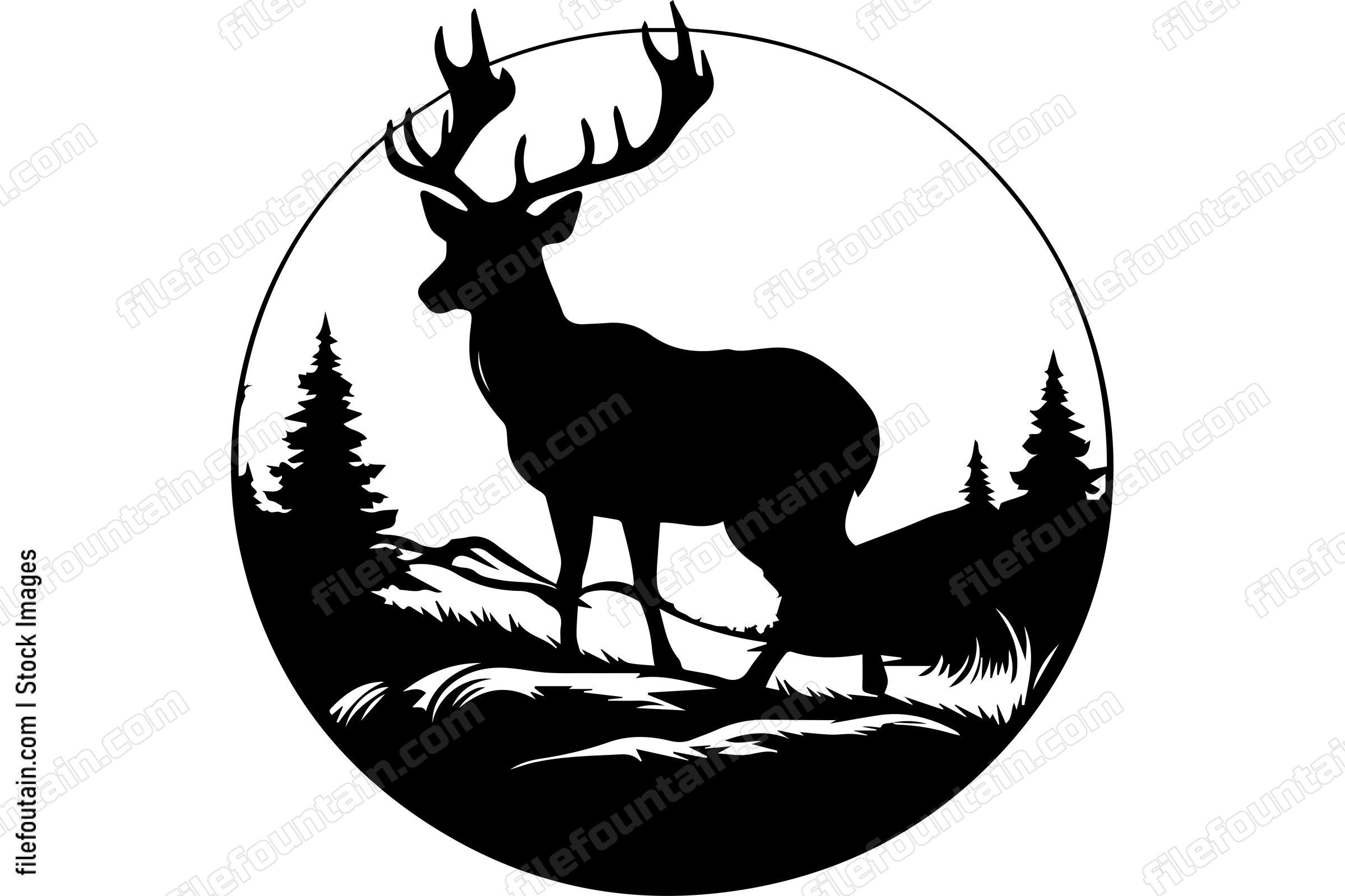 Deer