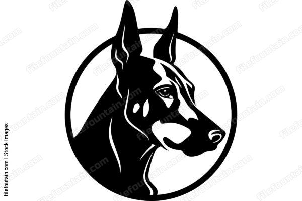 Doberman Pinscher