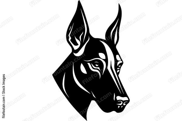 Doberman Pinscher