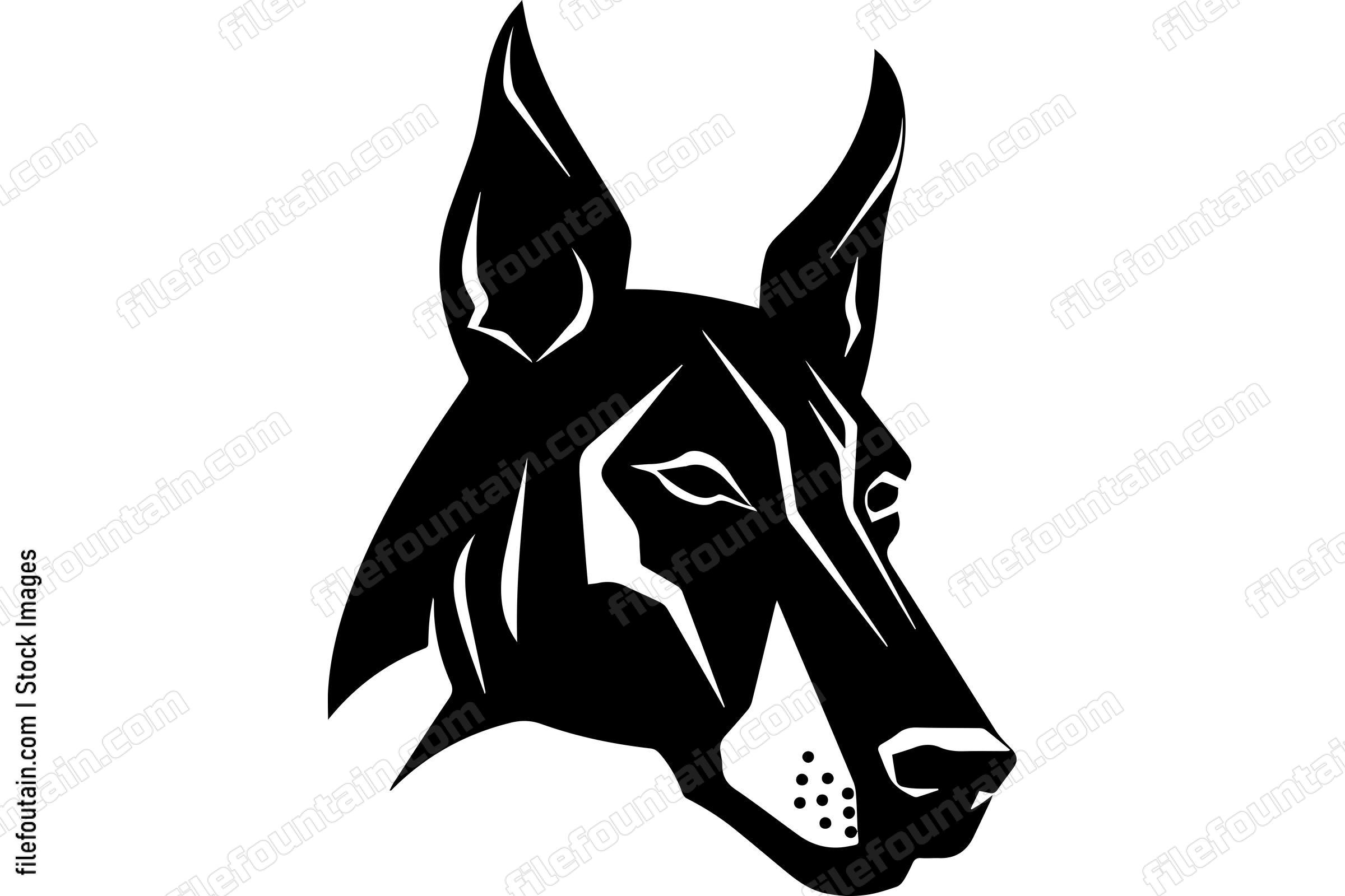 Doberman Pinscher