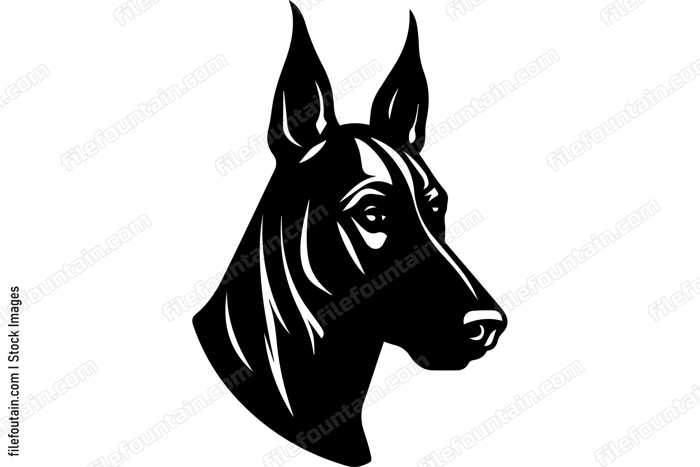 Doberman Pinscher