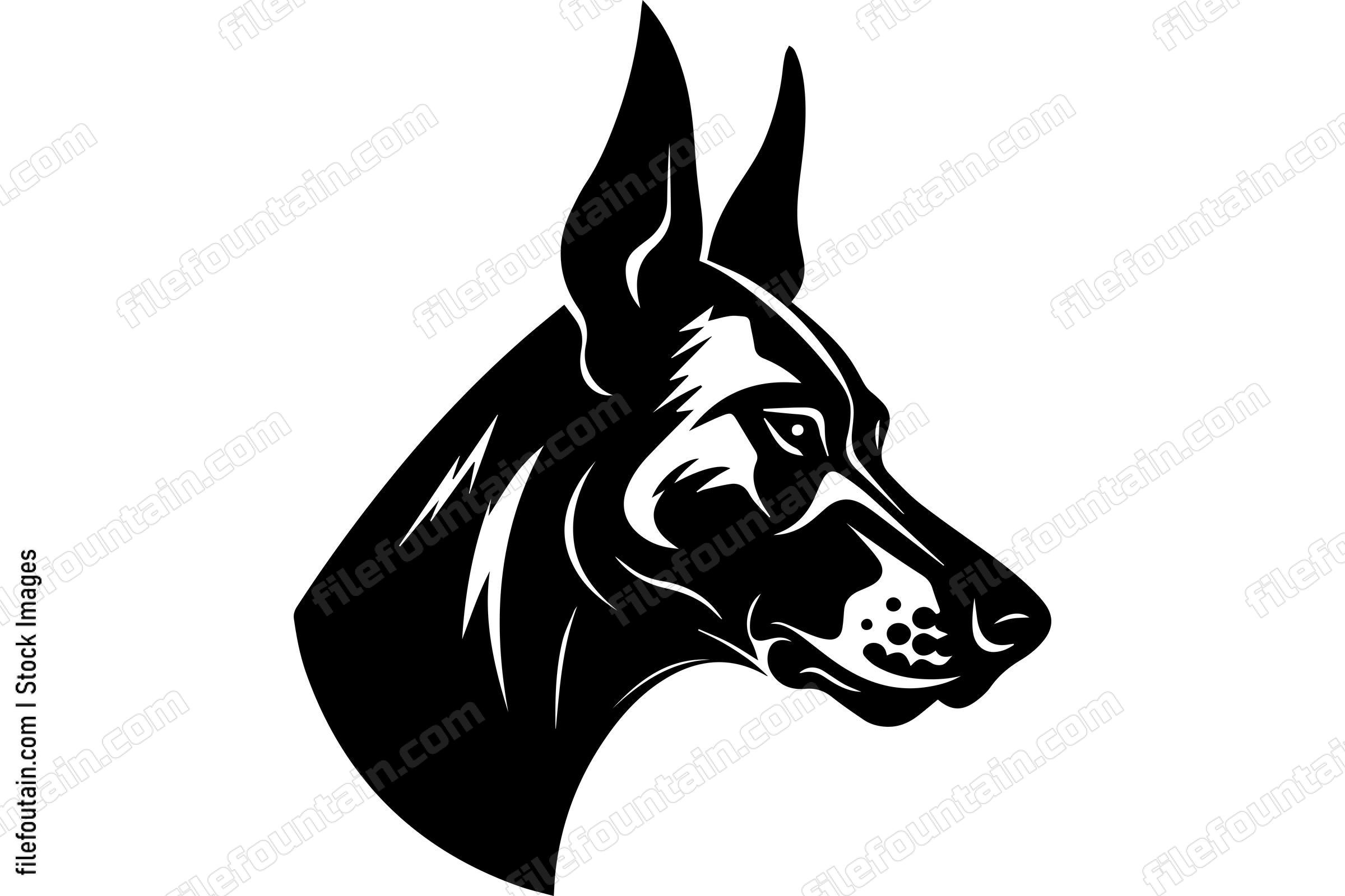 Doberman Pinscher