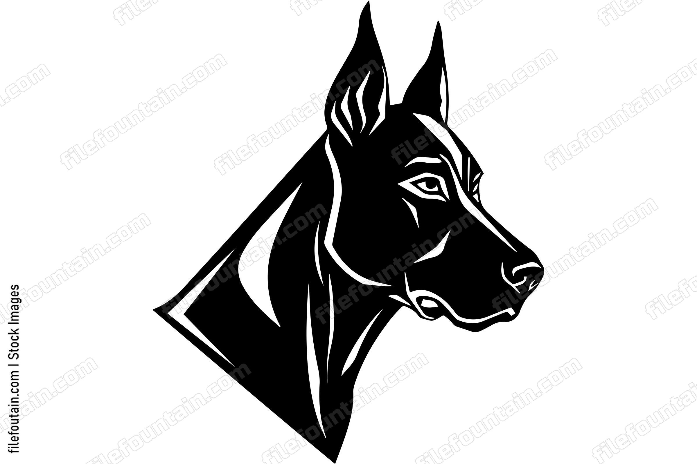 Doberman Pinscher