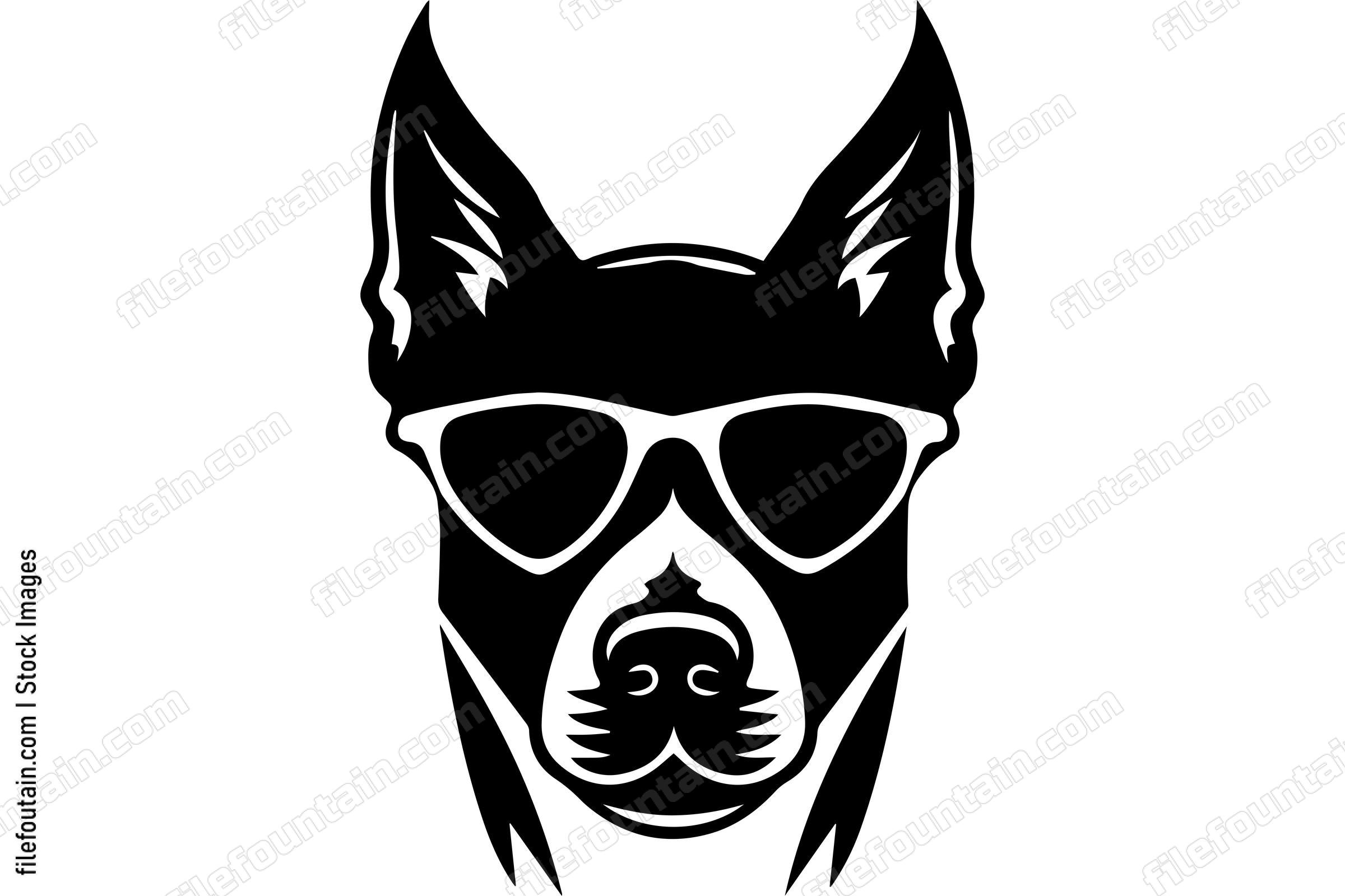 Dog In Sunglasses