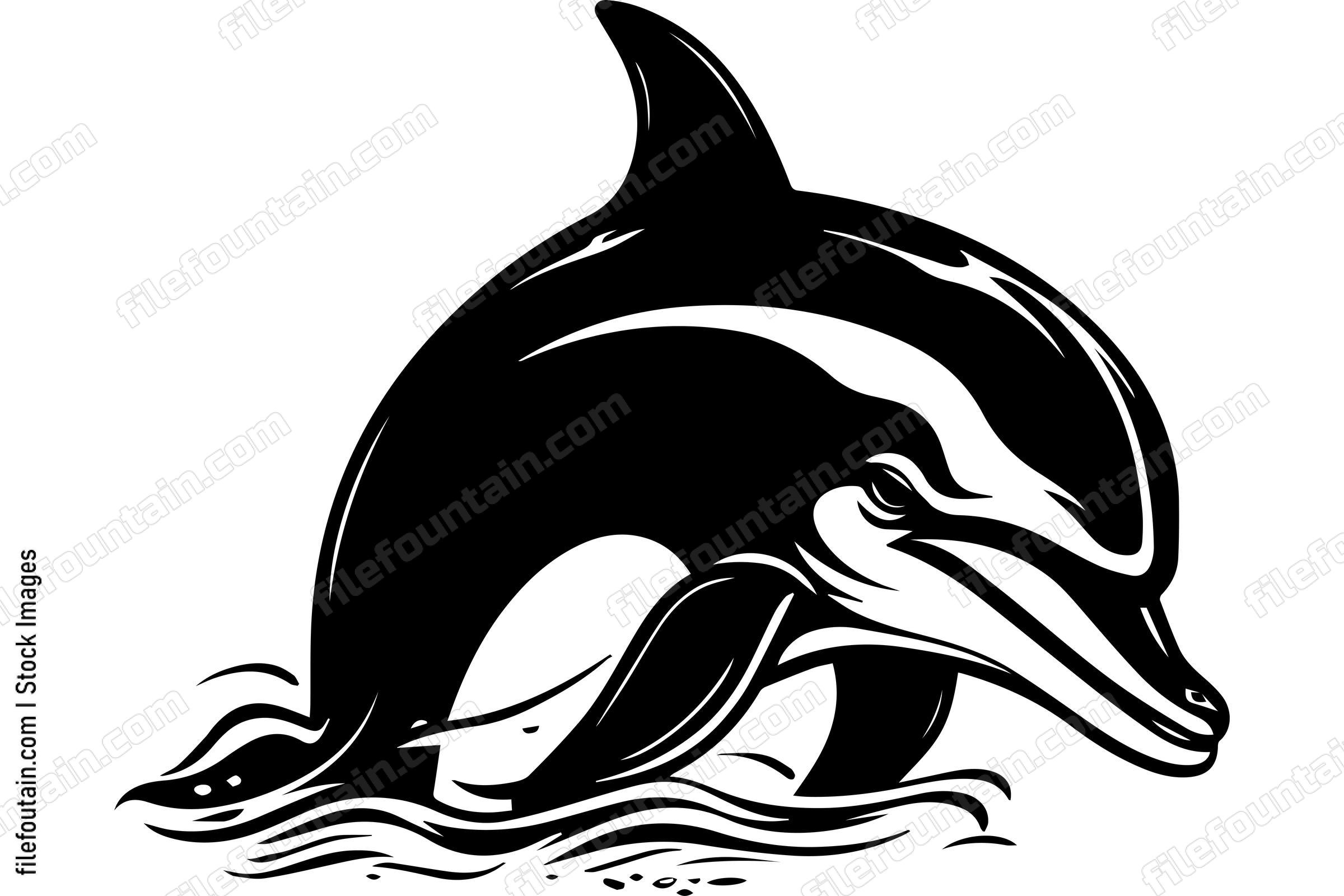 Dolphin