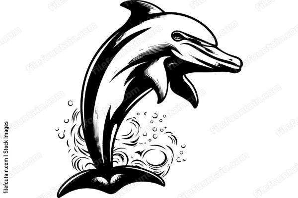 Dolphin