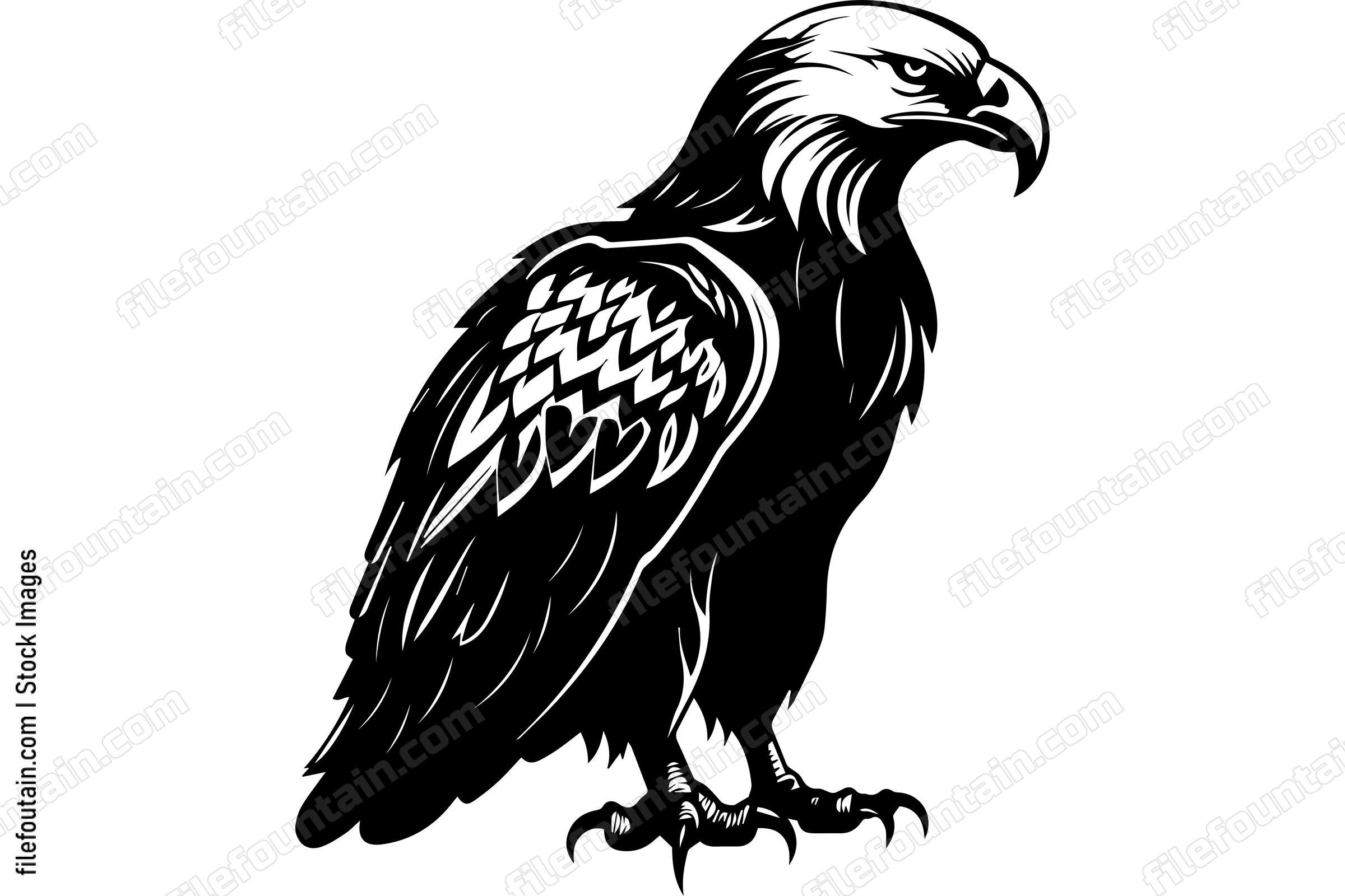 Eagle
