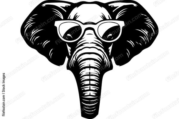Elephant In Sunglasses