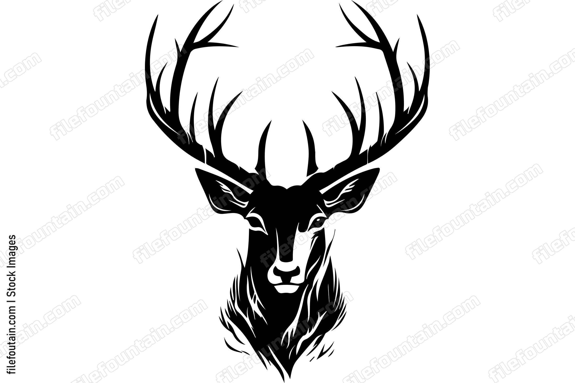 Elk