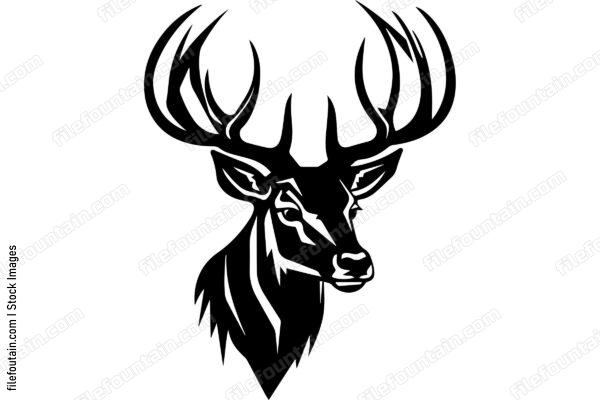 Elk