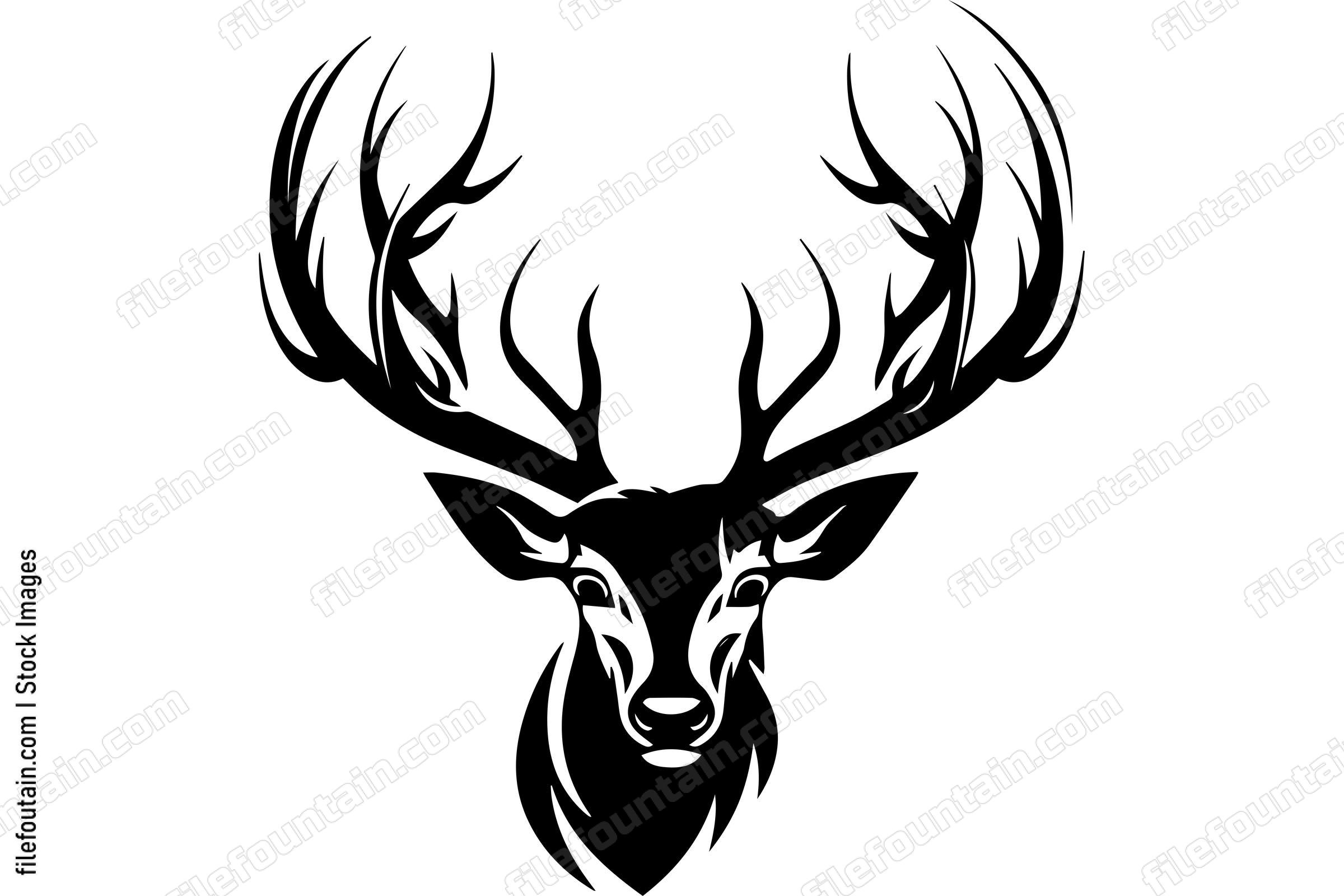 Elk