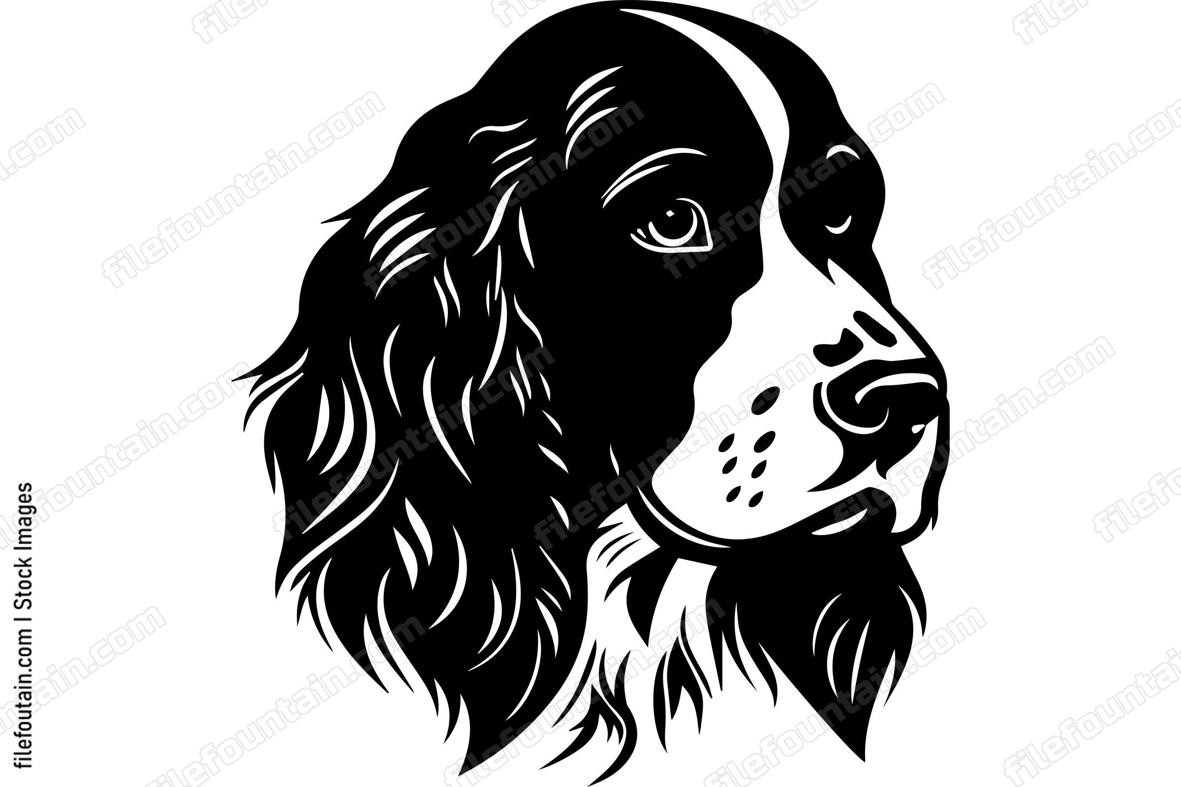 English Springer Spaniel