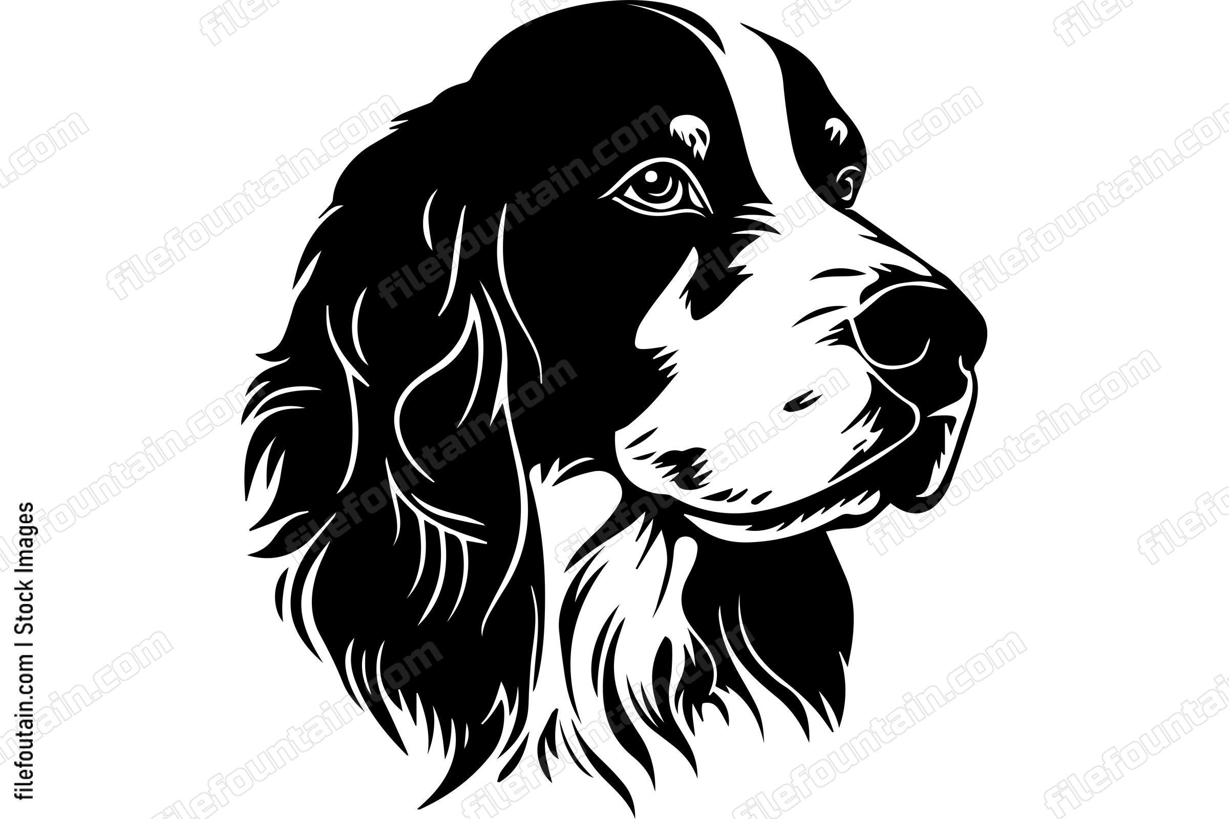 English Springer Spaniel