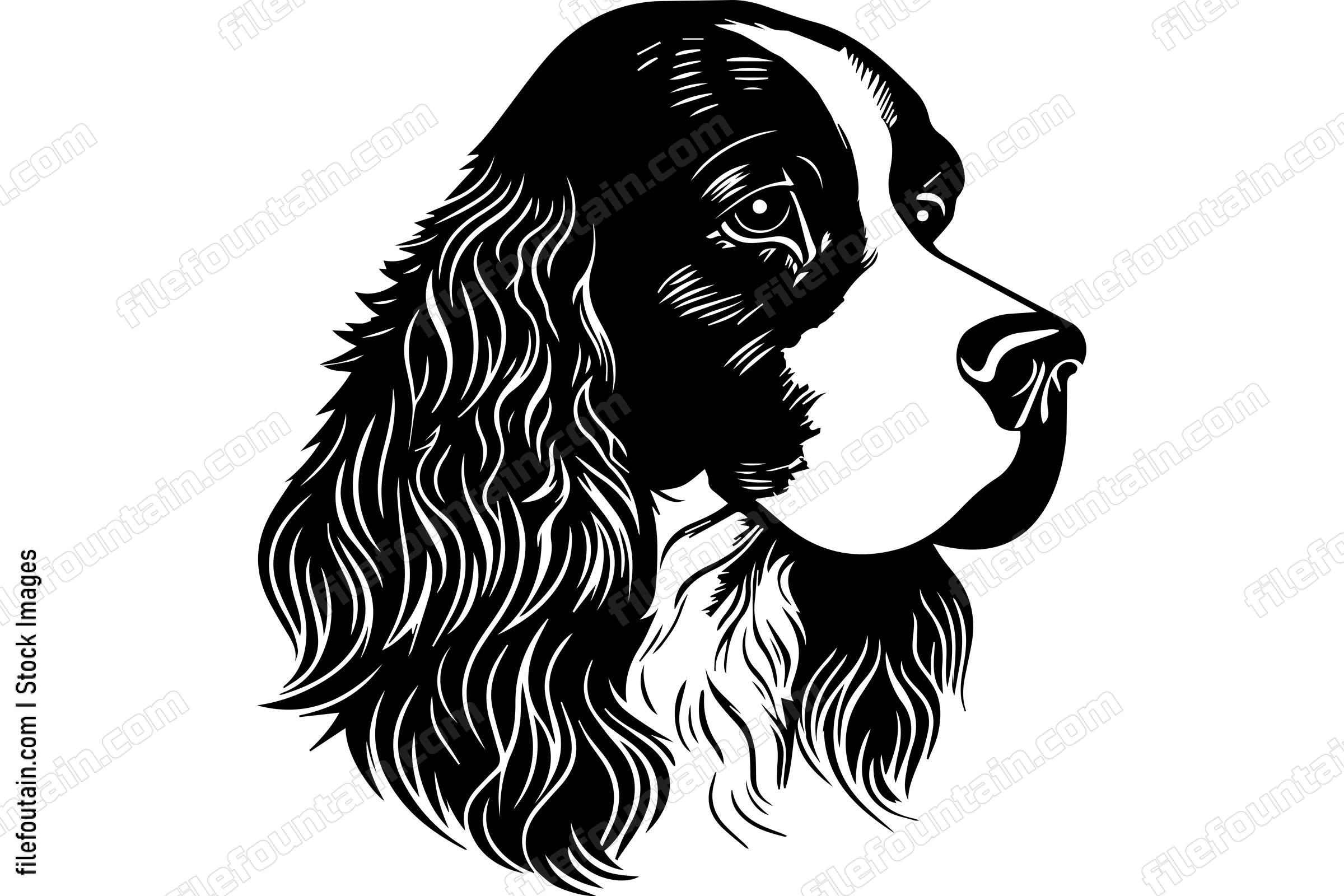 English Springer Spaniel