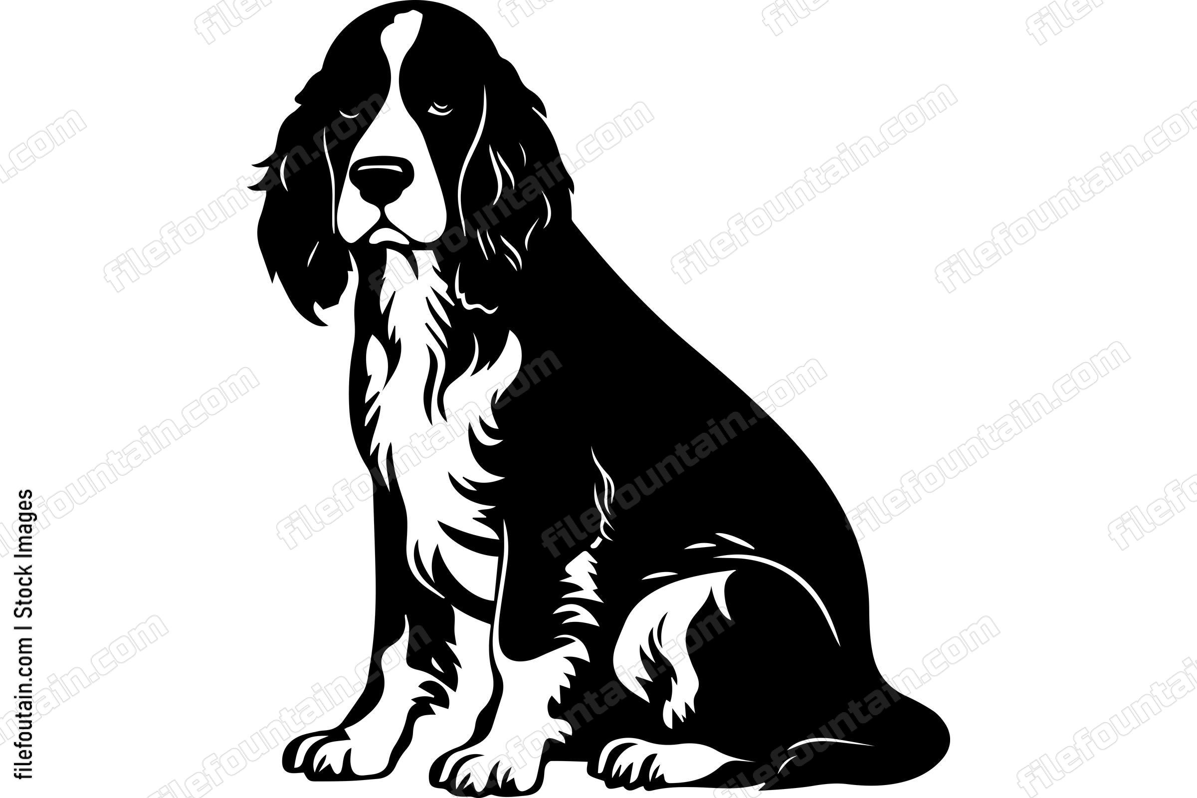 English Springer Spaniel