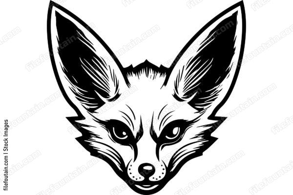 Fennec Fox