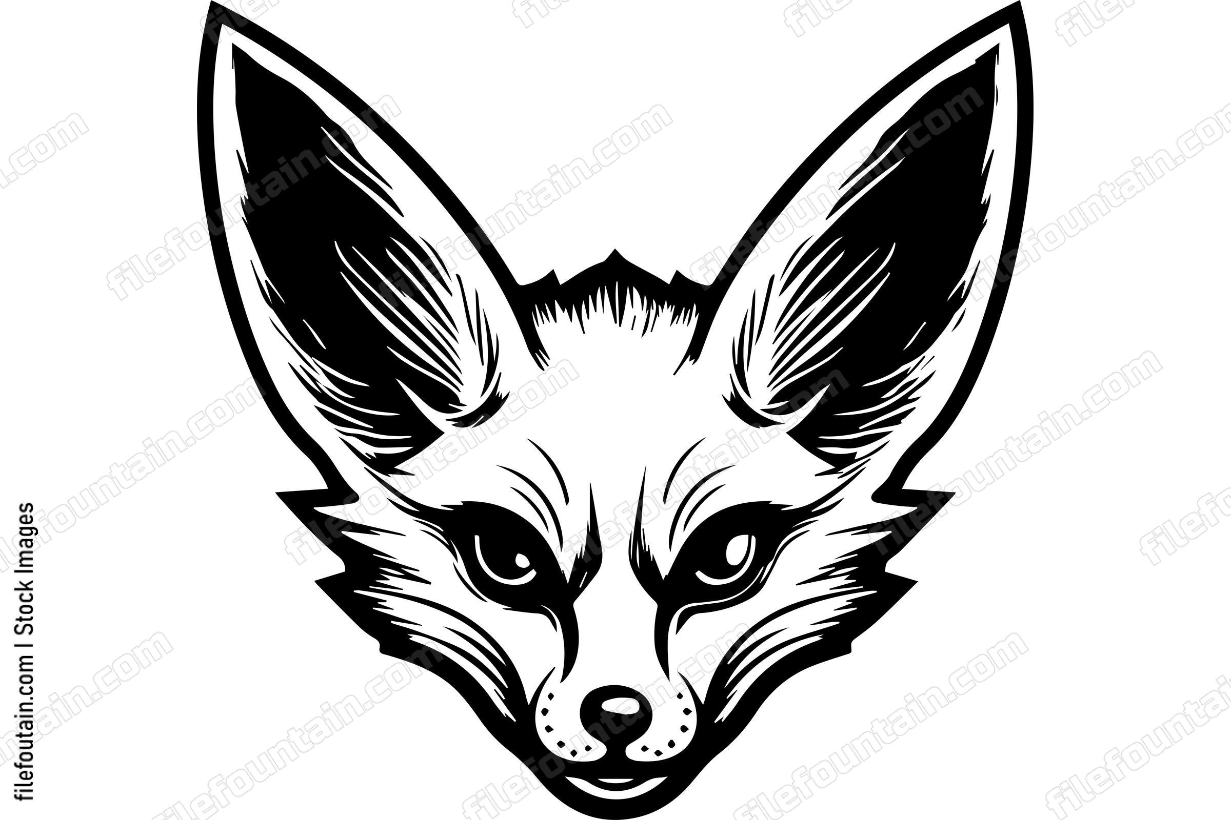 Fennec Fox