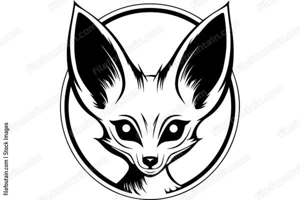 Fennec Fox