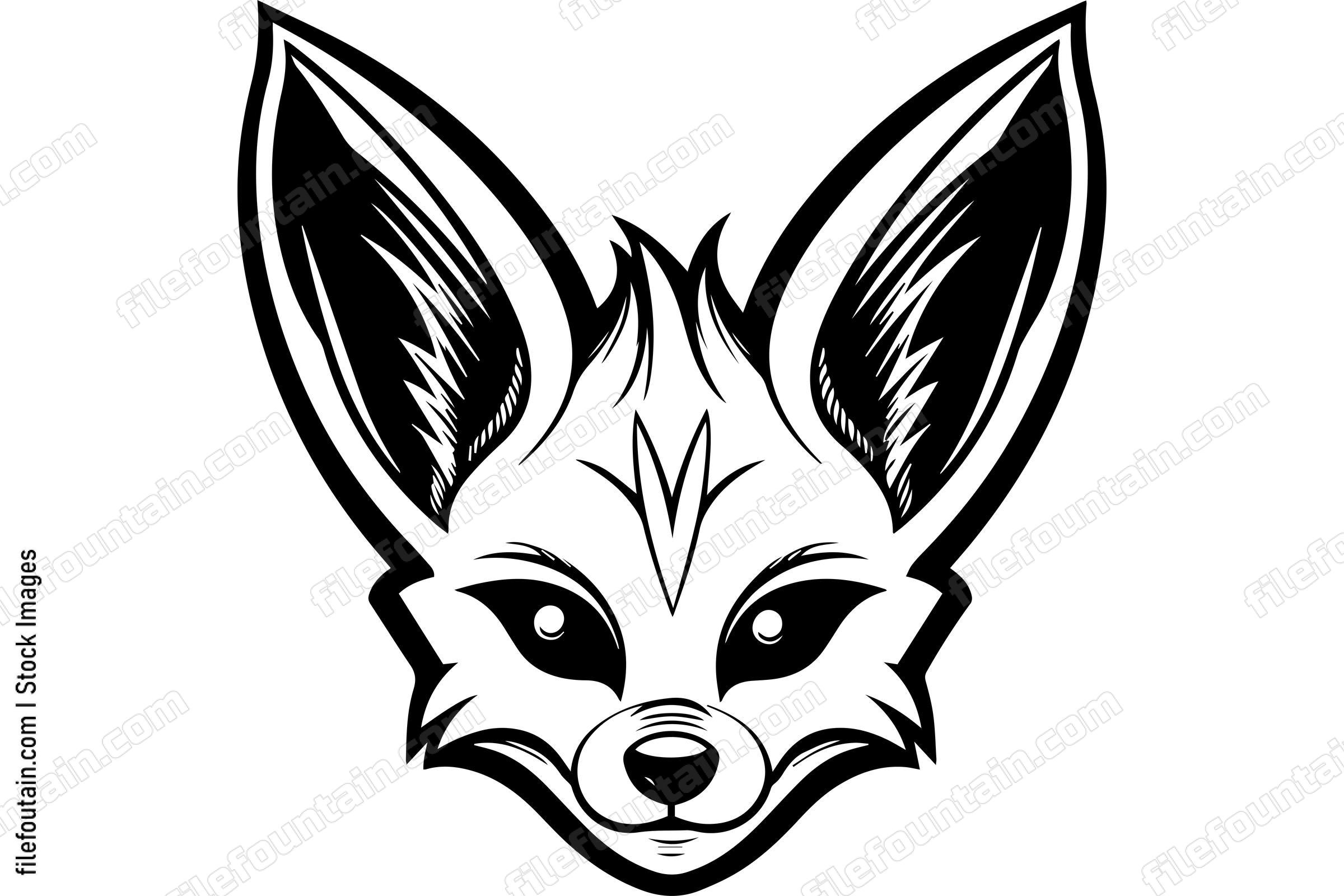 Fennec Fox