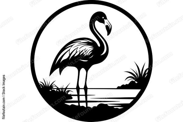 Flamingo