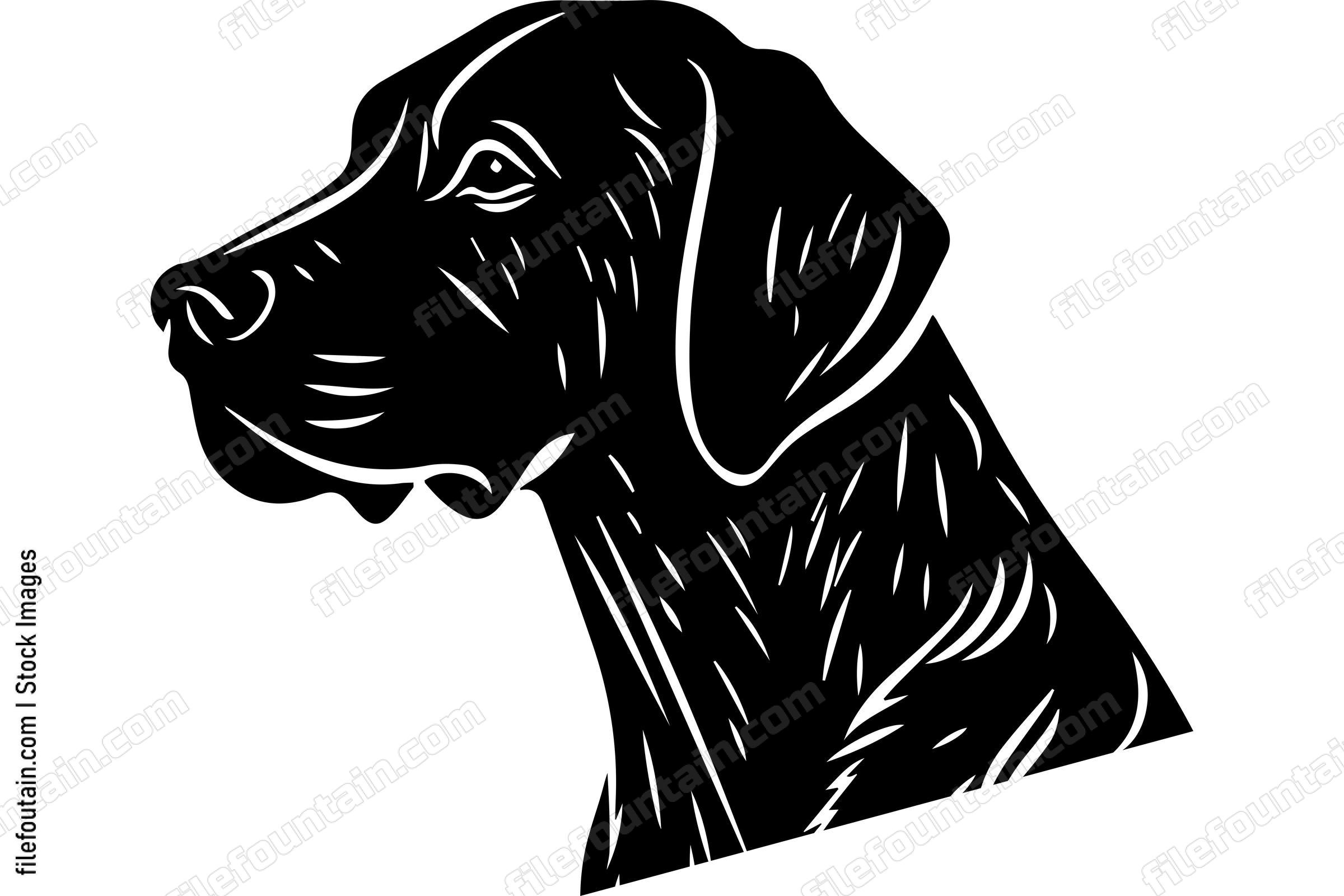 German Shorthaired Pointer