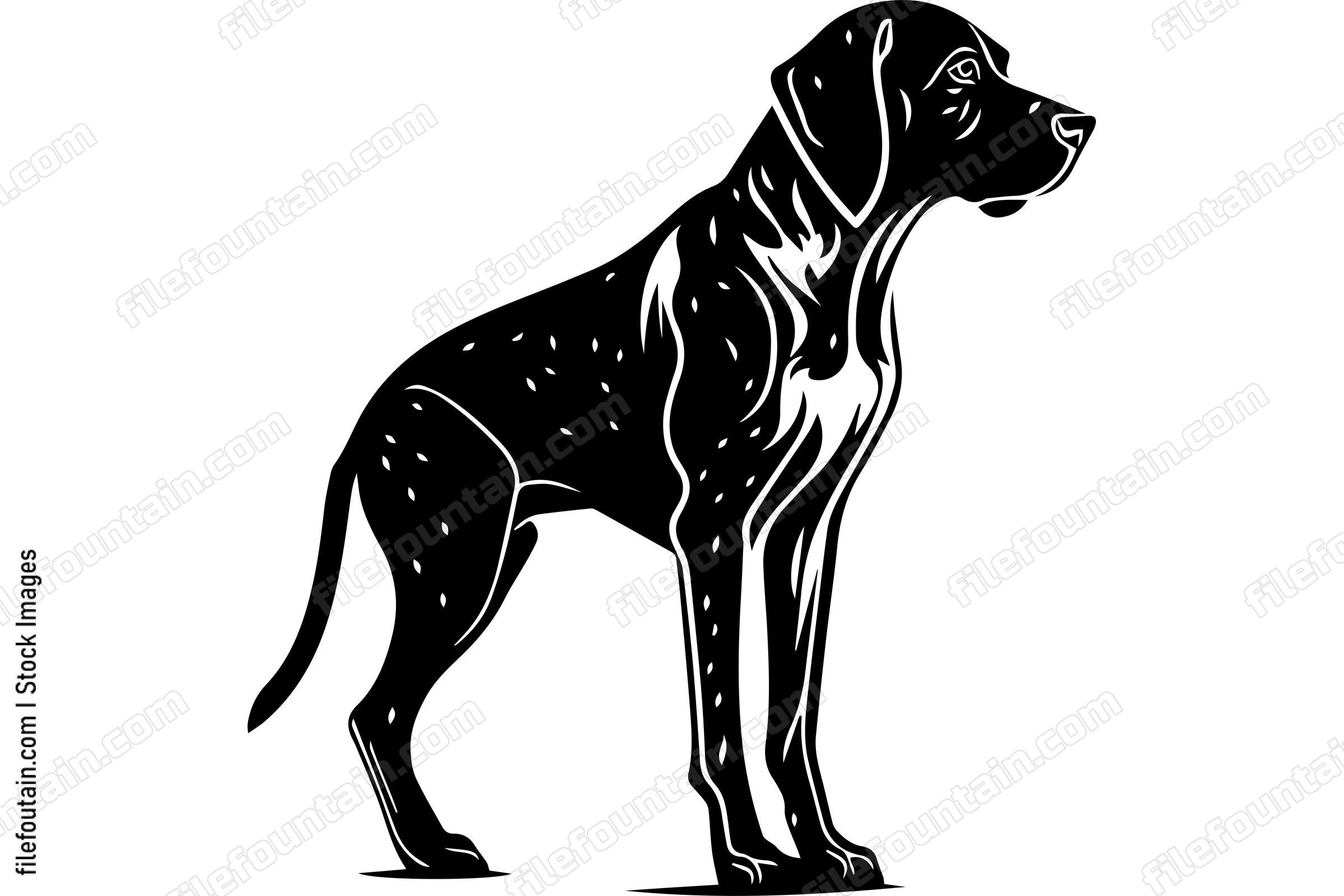 German Shorthaired Pointer